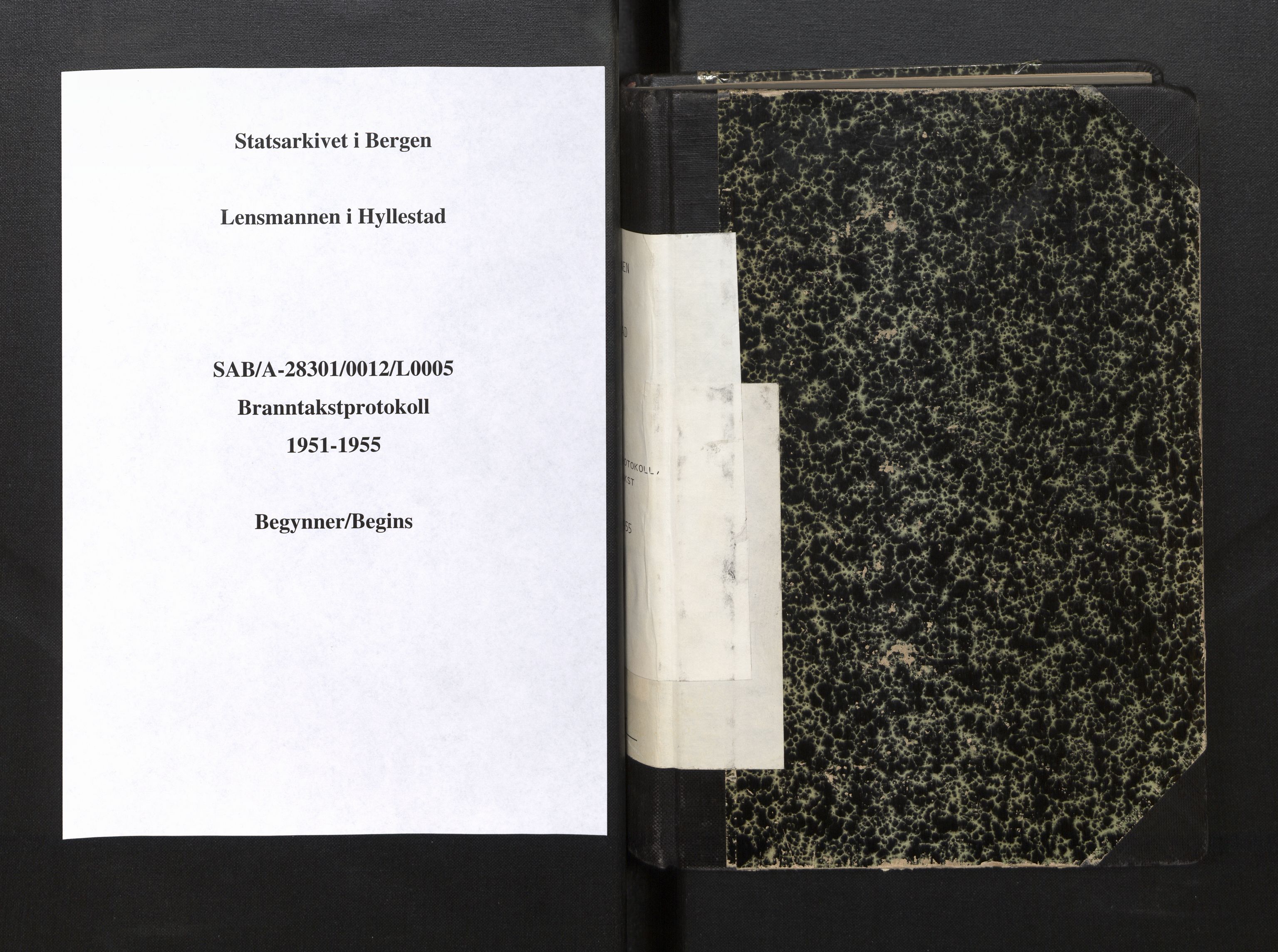 Lensmannen i Hyllestad, SAB/A-28301/0012/L0005: Branntakstprotokoll, skjematakst, 1951-1955