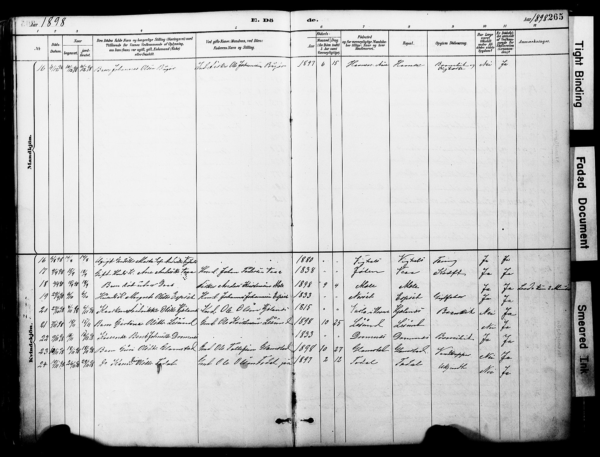 Ministerialprotokoller, klokkerbøker og fødselsregistre - Møre og Romsdal, AV/SAT-A-1454/578/L0907: Ministerialbok nr. 578A06, 1887-1904, s. 265