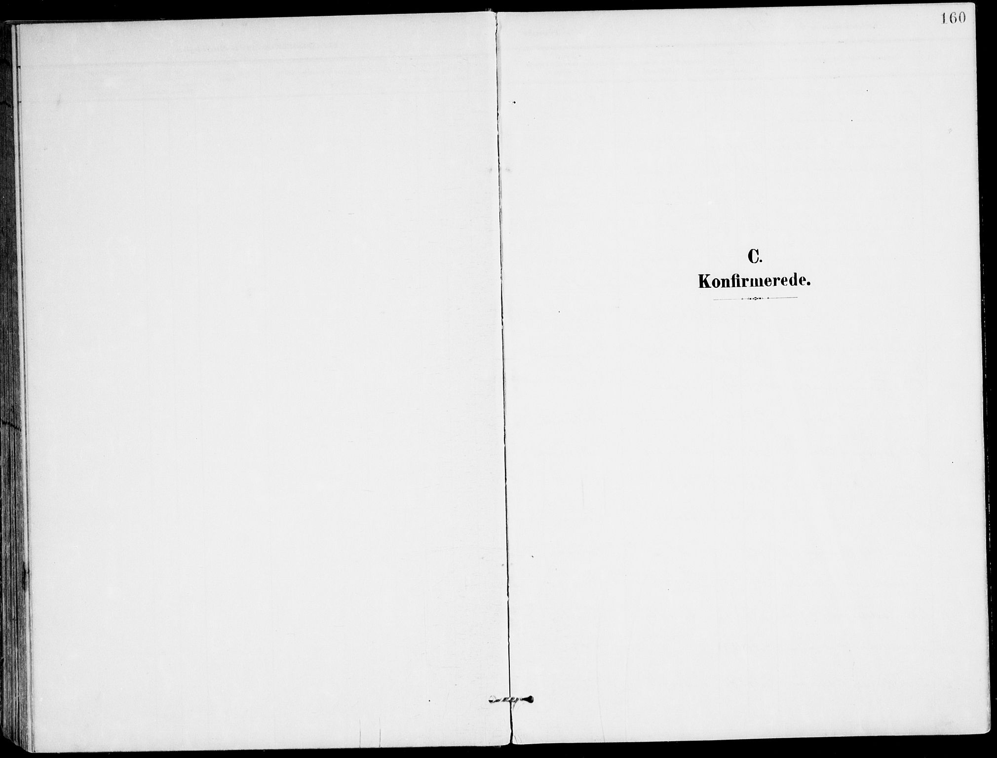 Ministerialprotokoller, klokkerbøker og fødselsregistre - Nordland, AV/SAT-A-1459/847/L0672: Ministerialbok nr. 847A12, 1902-1919, s. 160