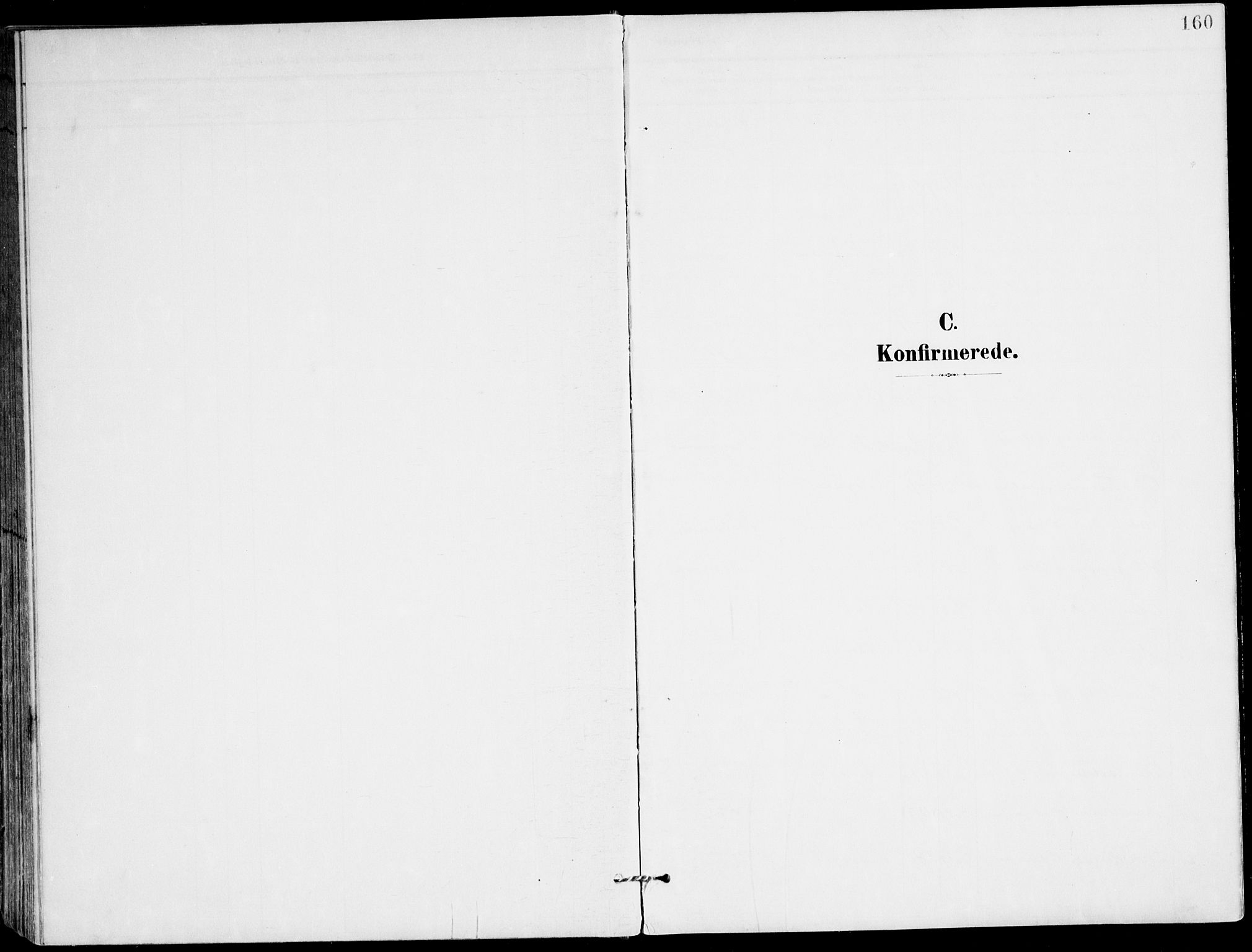 Ministerialprotokoller, klokkerbøker og fødselsregistre - Nordland, SAT/A-1459/847/L0672: Ministerialbok nr. 847A12, 1902-1919, s. 160