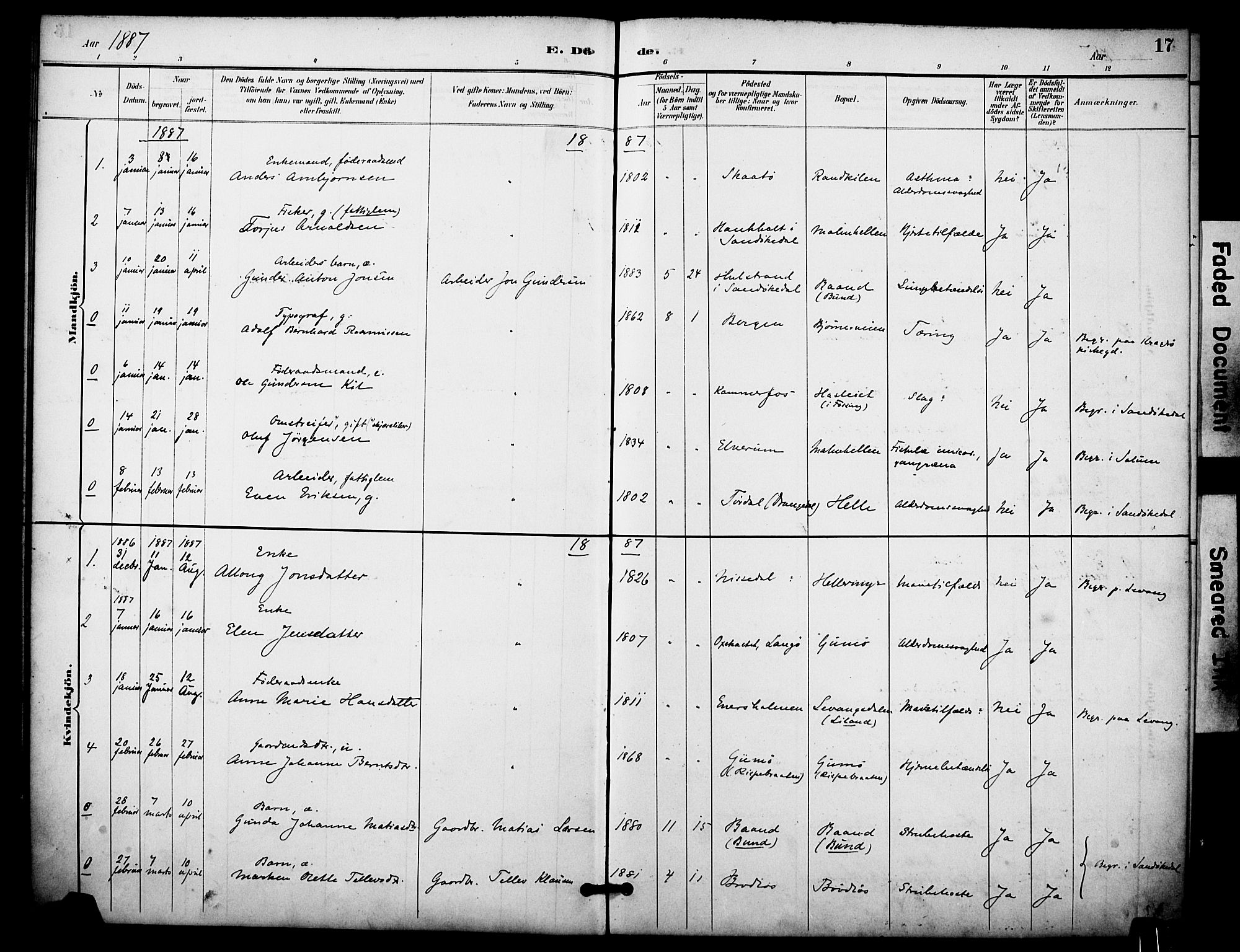 Skåtøy kirkebøker, AV/SAKO-A-304/F/Fa/L0004: Ministerialbok nr. I 4, 1884-1900, s. 17