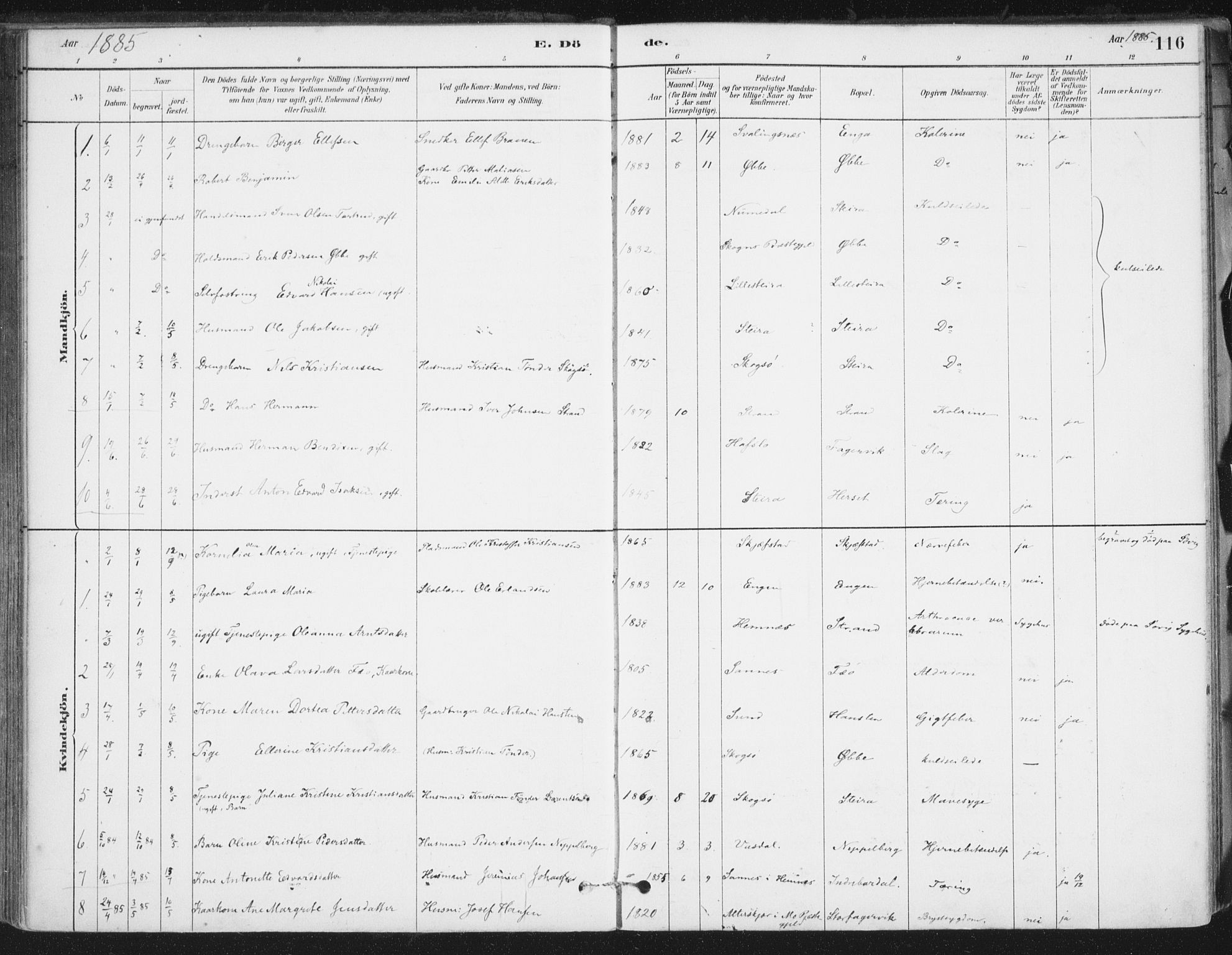 Ministerialprotokoller, klokkerbøker og fødselsregistre - Nordland, SAT/A-1459/838/L0553: Ministerialbok nr. 838A11, 1880-1910, s. 116