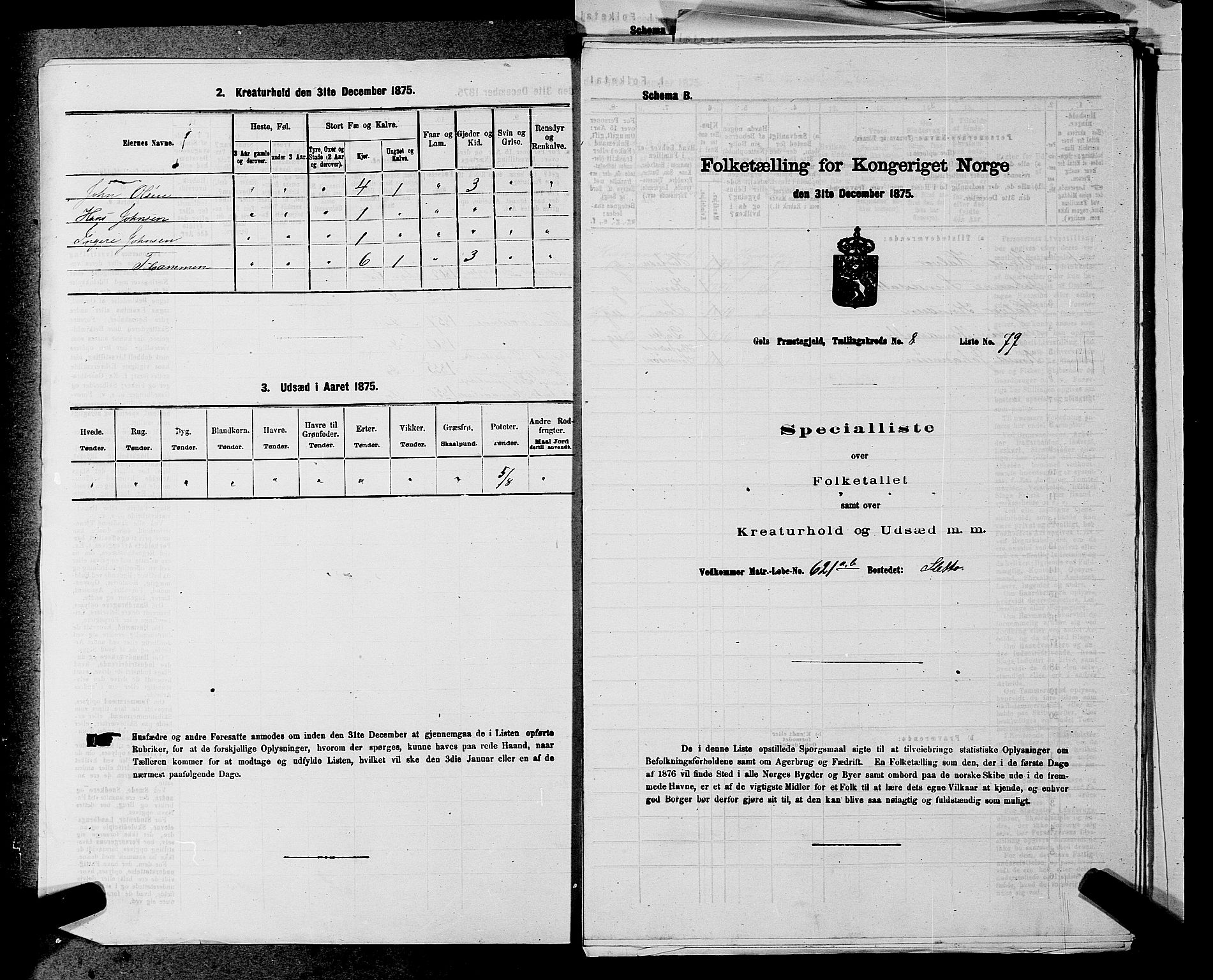 SAKO, Folketelling 1875 for 0617P Gol prestegjeld, 1875, s. 1269