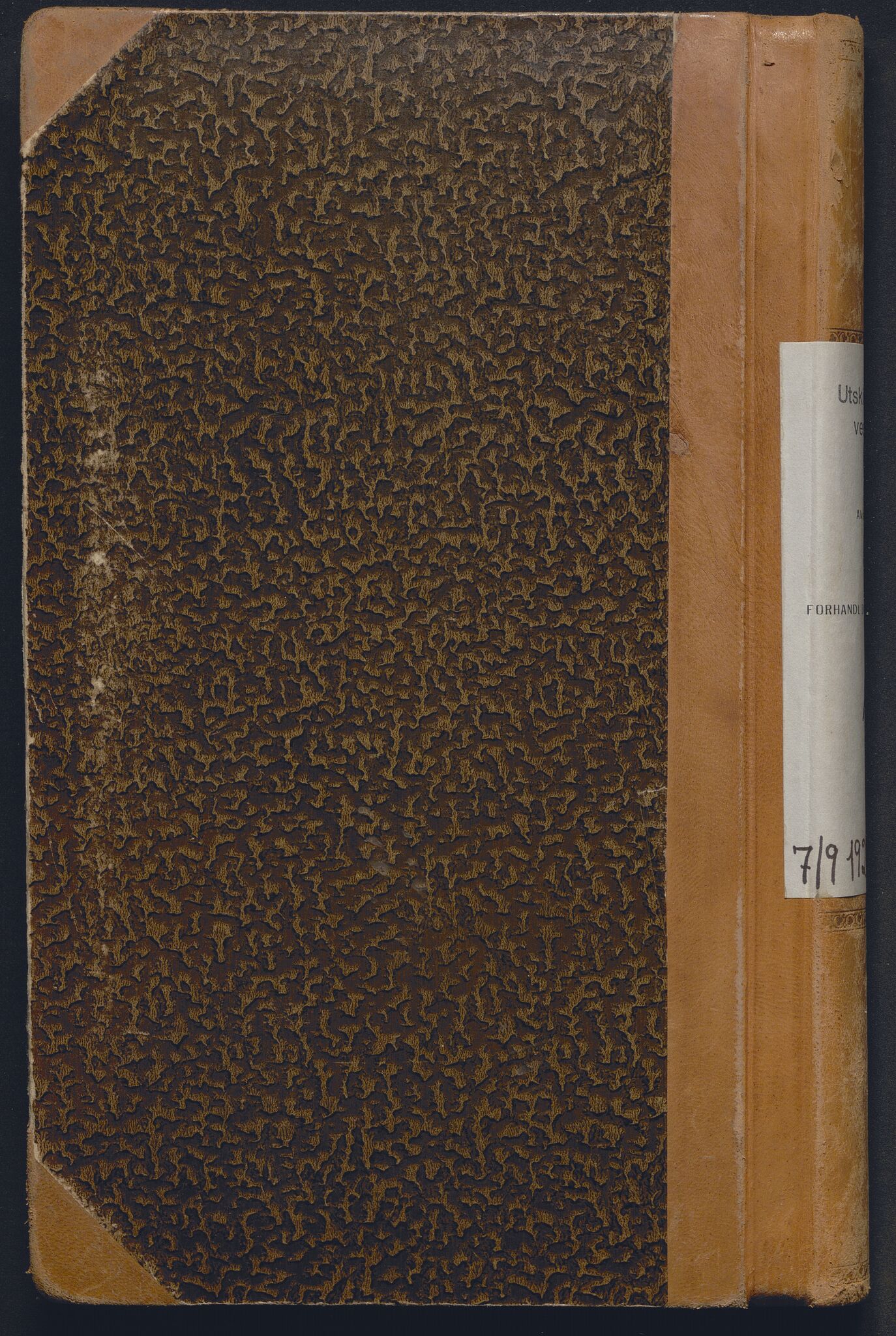 Akershus og Oslo jordskifterett, AV/SAO-A-10121/F/Fa/L0016: Forhandlingsprotokoll, 1920-1926