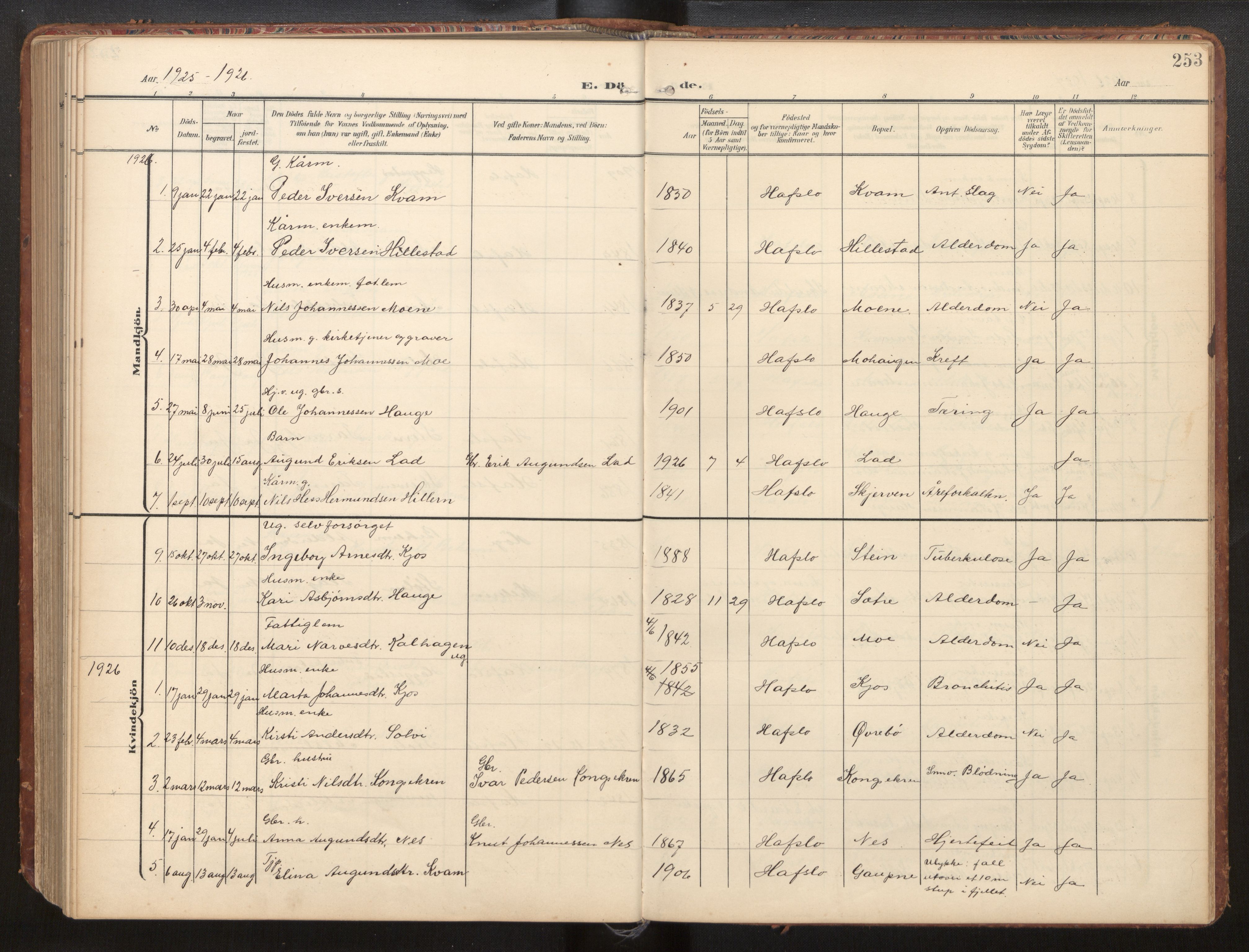 Hafslo sokneprestembete, AV/SAB-A-80301/H/Hab/Habb/L0002: Klokkerbok nr. B 2, 1909-1947, s. 253