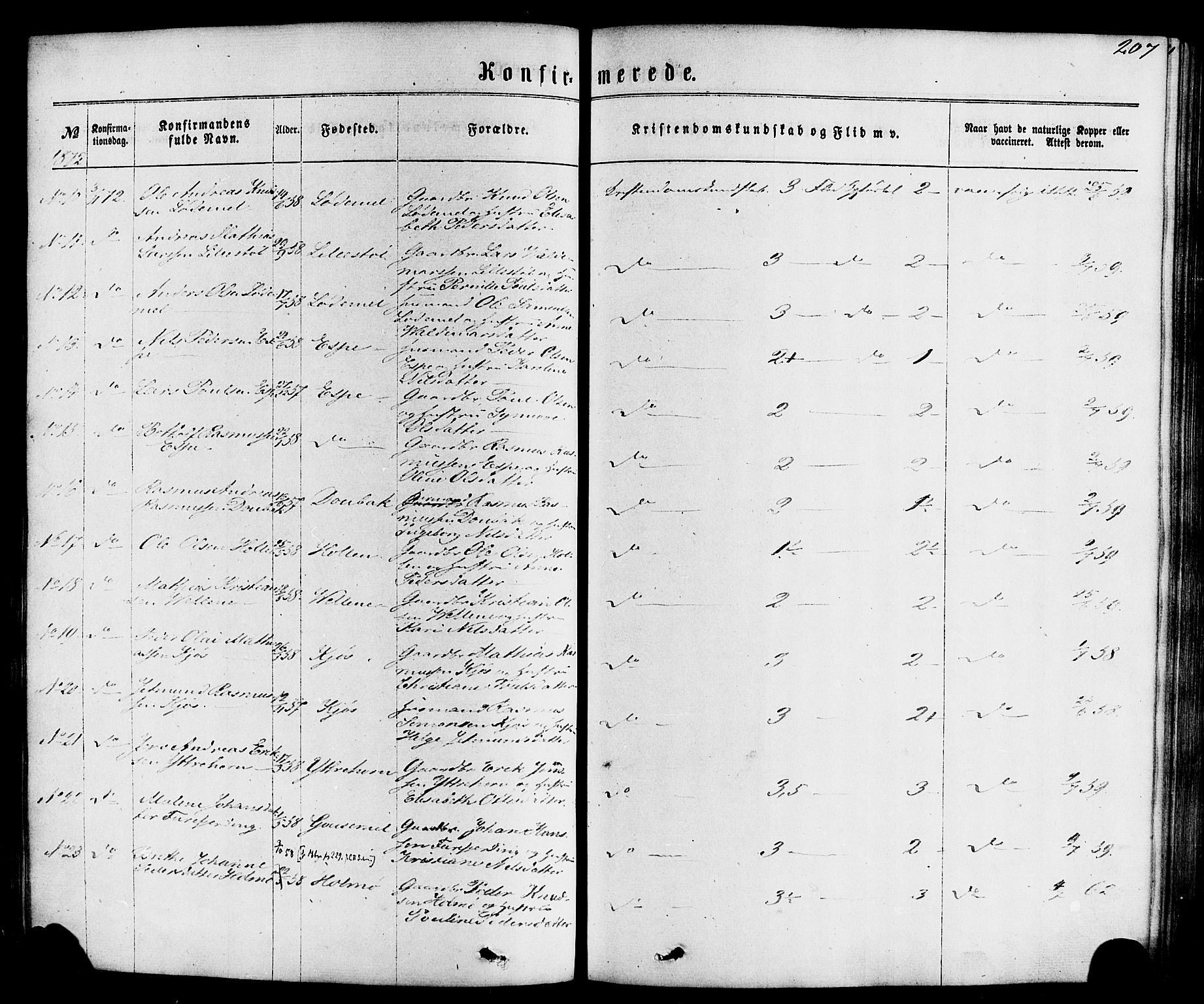 Hornindal sokneprestembete, AV/SAB-A-82401/H/Haa/Haaa/L0002: Ministerialbok nr. A 2, 1867-1884, s. 207