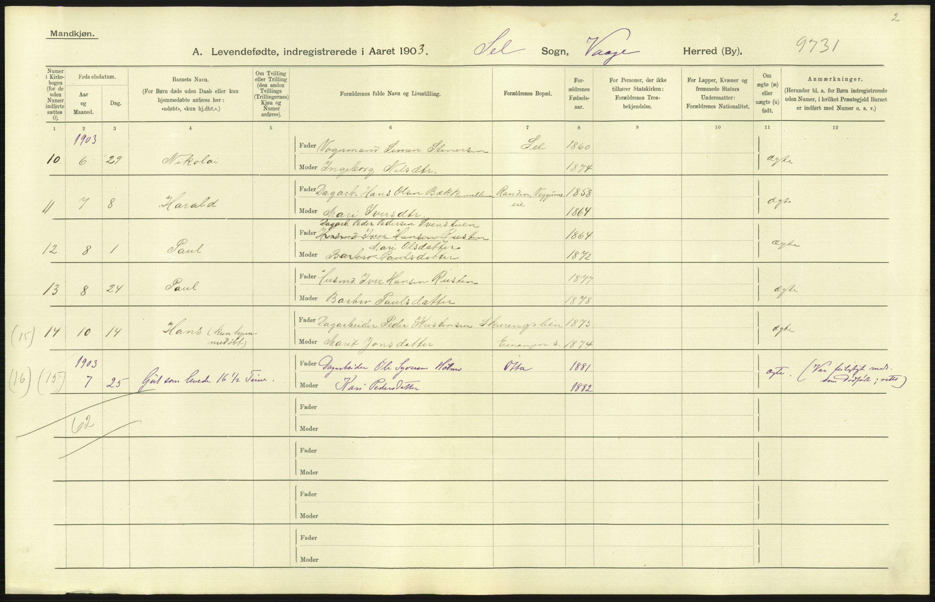 Statistisk sentralbyrå, Sosiodemografiske emner, Befolkning, AV/RA-S-2228/D/Df/Dfa/Dfaa/L0006: Kristians amt: Fødte, gifte, døde, 1903, s. 43