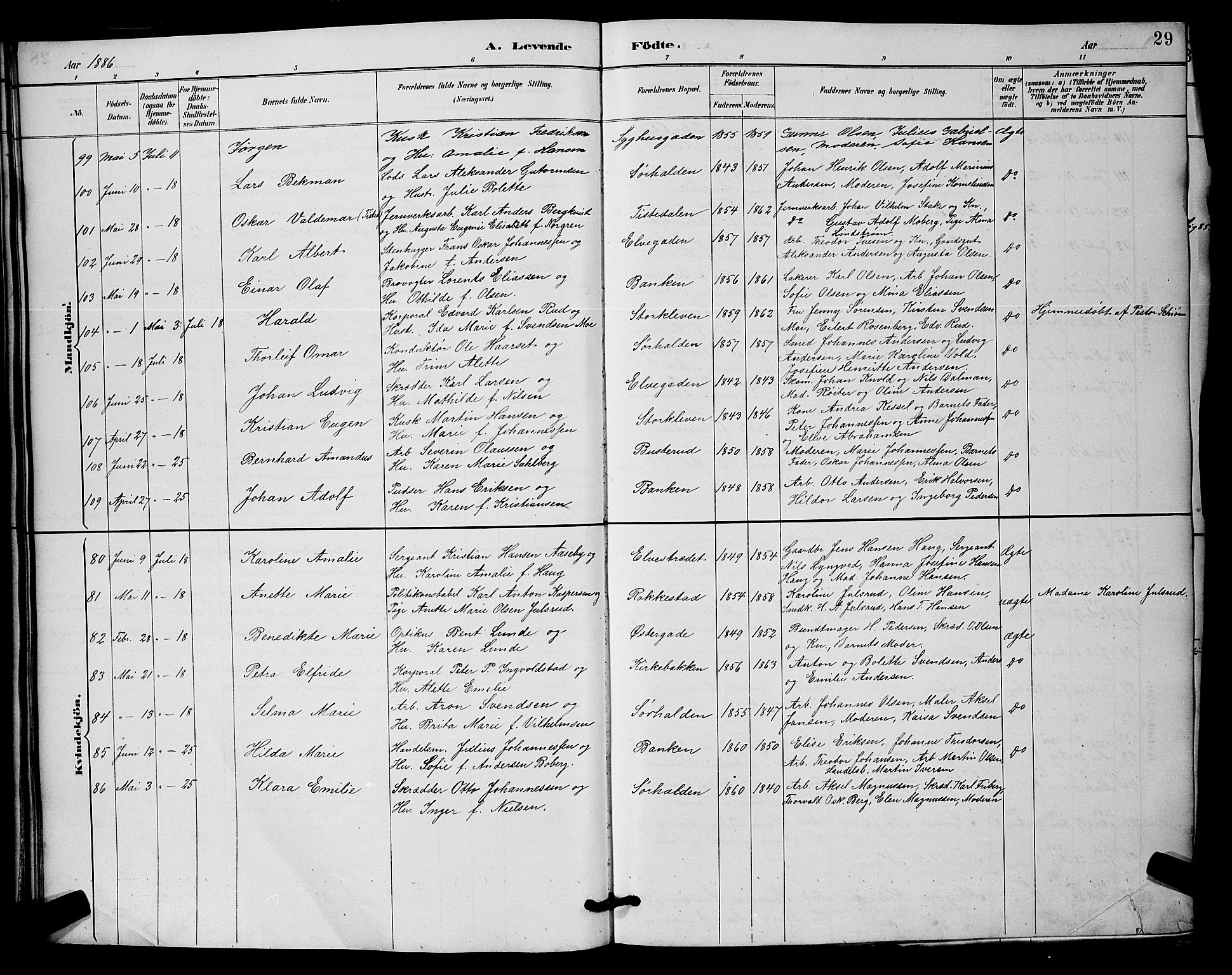 Halden prestekontor Kirkebøker, AV/SAO-A-10909/G/Ga/L0008: Klokkerbok nr. 8, 1885-1899, s. 29
