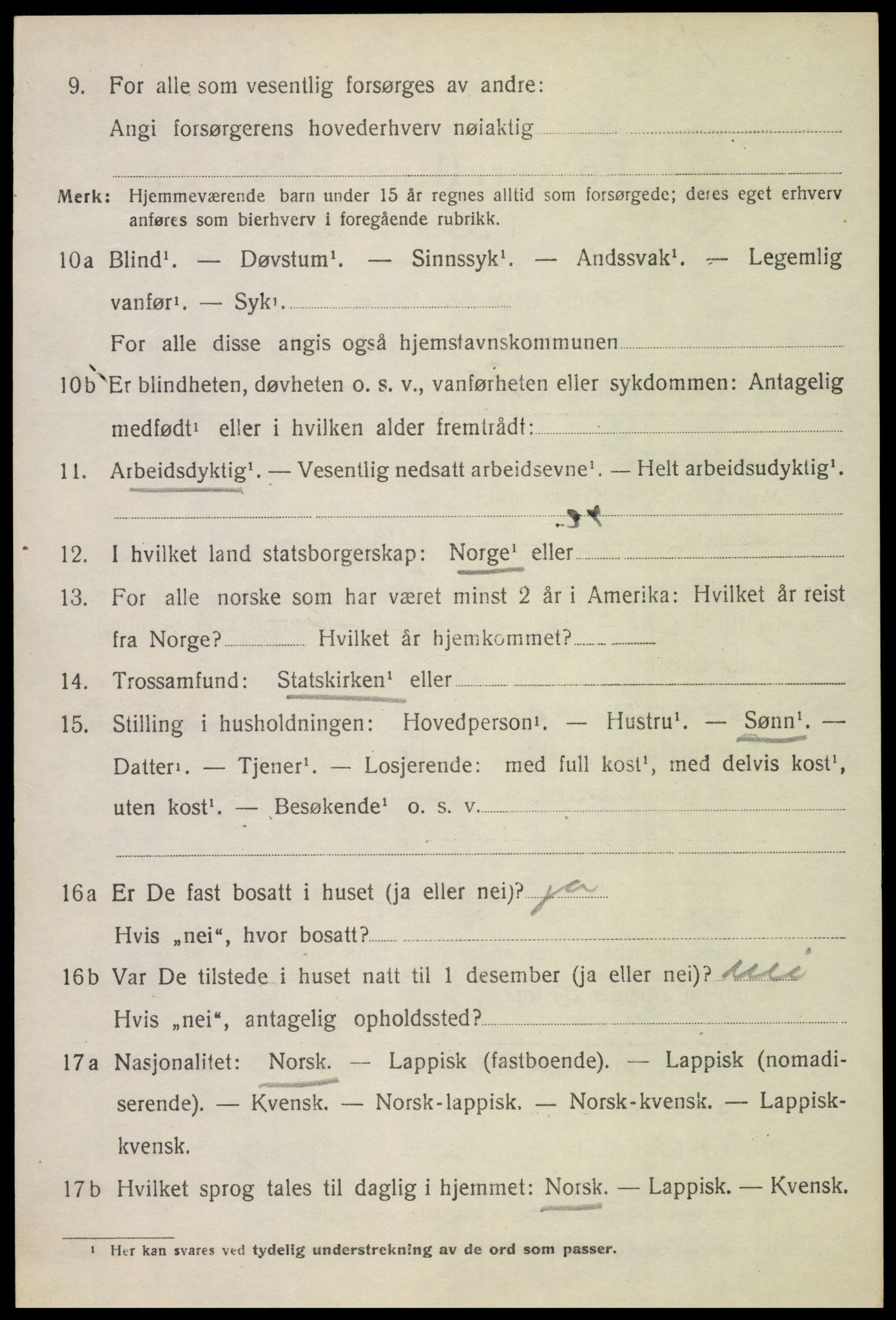 SAT, Folketelling 1920 for 1862 Borge herred, 1920, s. 4100