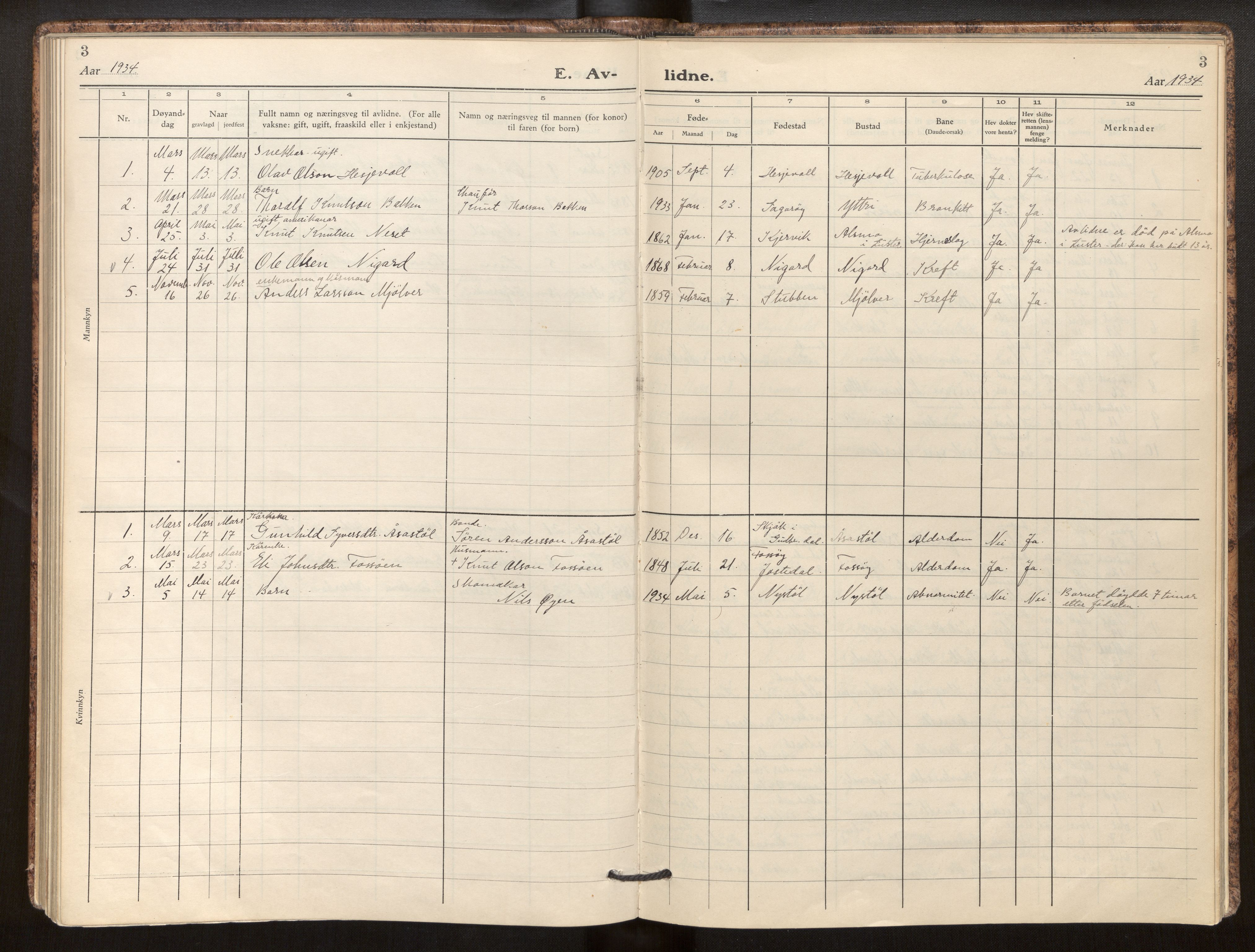 Jostedal sokneprestembete, AV/SAB-A-80601/H/Haa/Haab/L0003: Ministerialbok nr. B 3, 1932-1953, s. 3