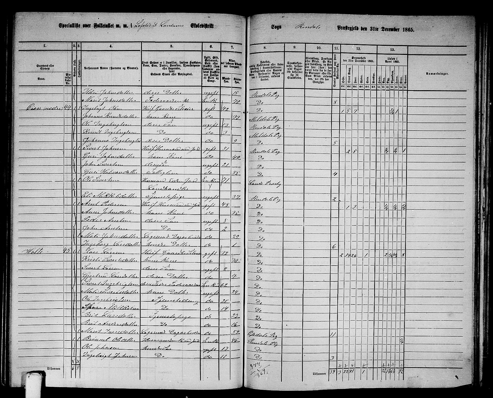 RA, Folketelling 1865 for 1567P Rindal prestegjeld, 1865, s. 48