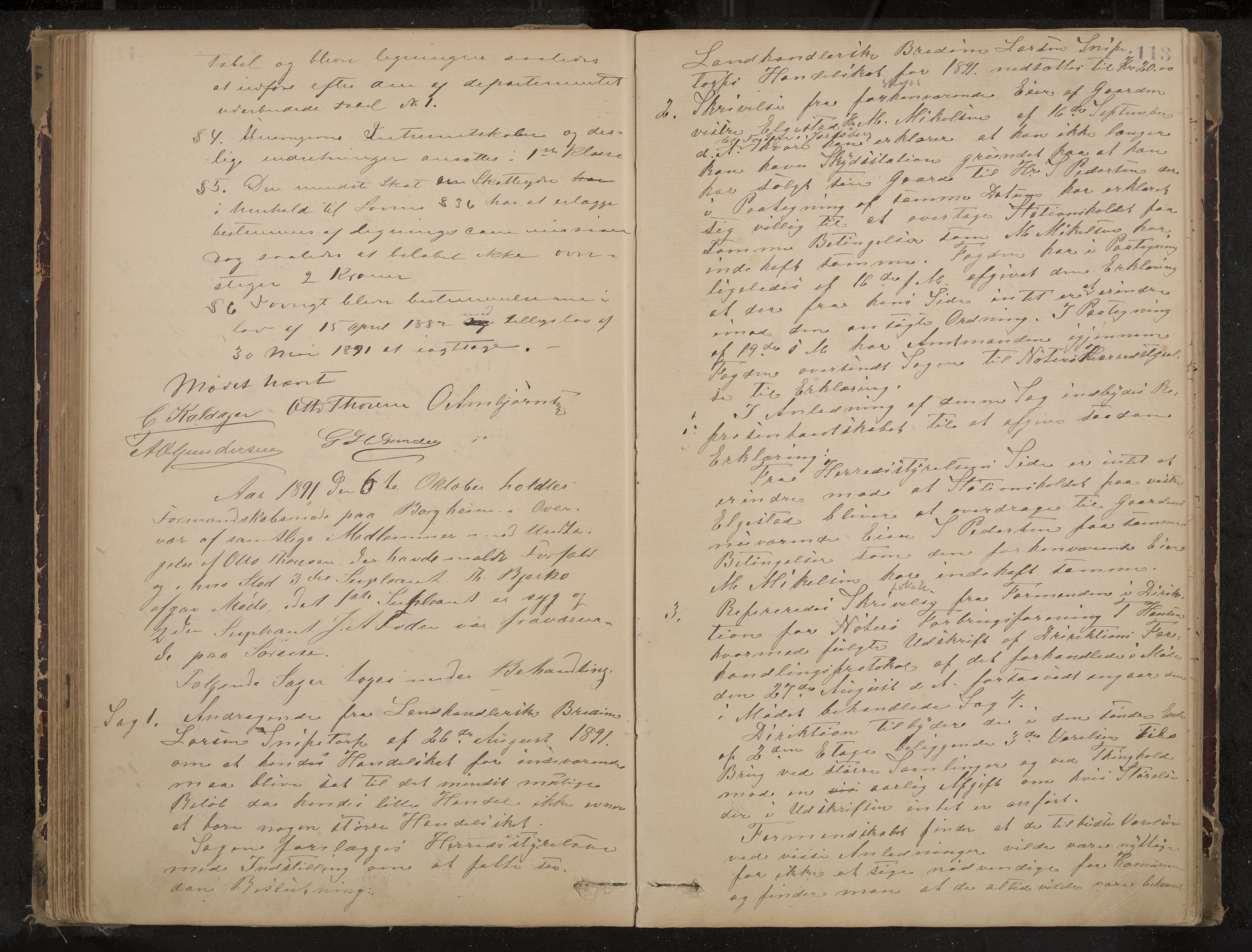 Nøtterøy formannskap og sentraladministrasjon, IKAK/0722021-1/A/Aa/L0004: Møtebok, 1887-1896, s. 113