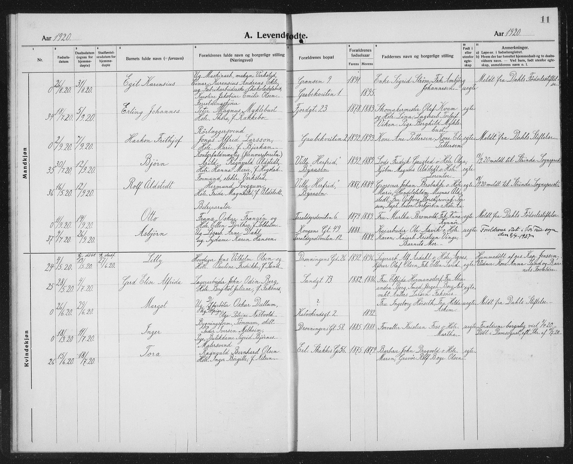 Ministerialprotokoller, klokkerbøker og fødselsregistre - Sør-Trøndelag, SAT/A-1456/602/L0148: Klokkerbok nr. 602C16, 1919-1939, s. 11