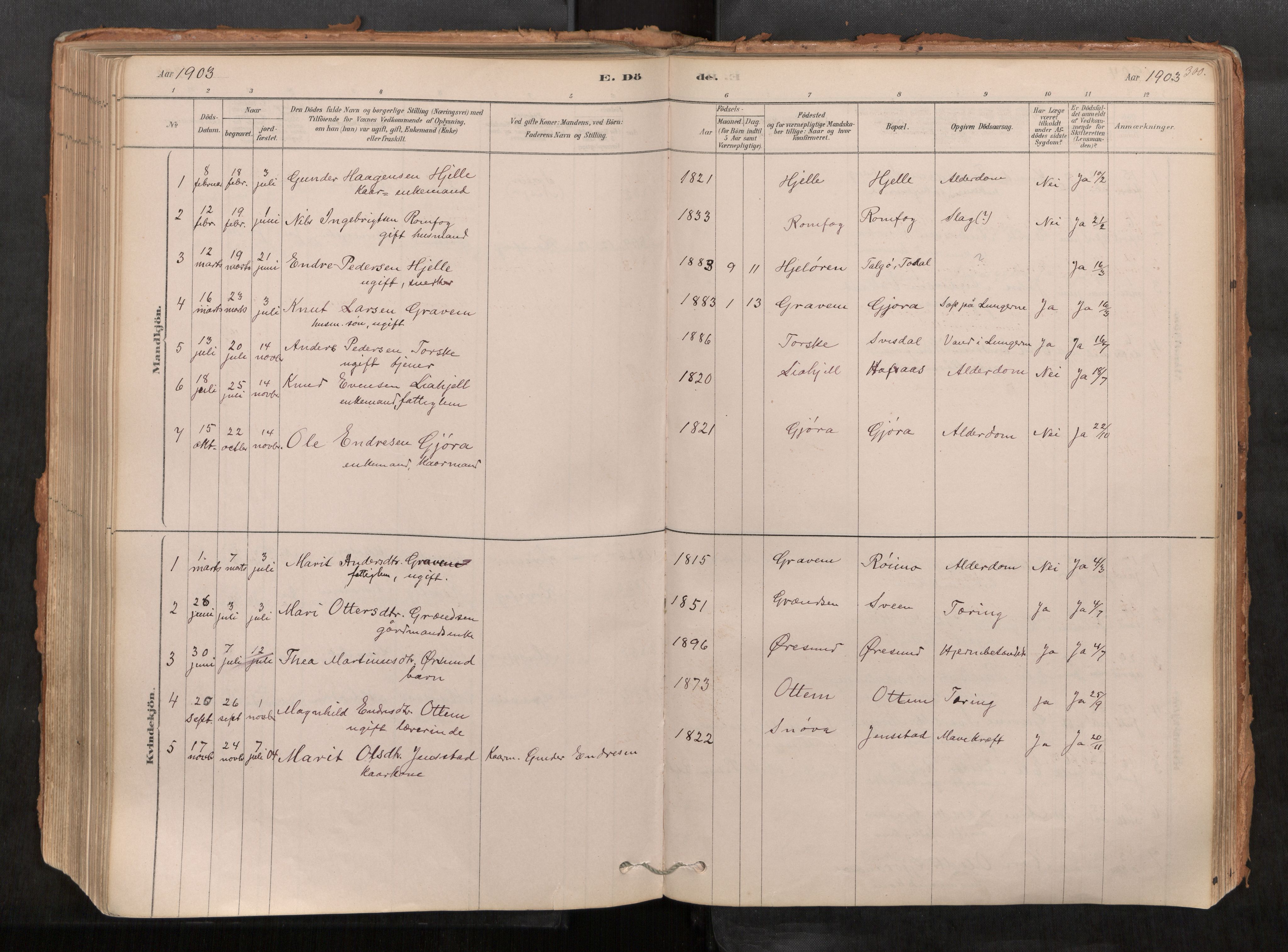 Sunndal sokneprestkontor, SAT/A-1085/1/I/I1/I1a/L0001: Ministerialbok nr. 1, 1877-1914, s. 300