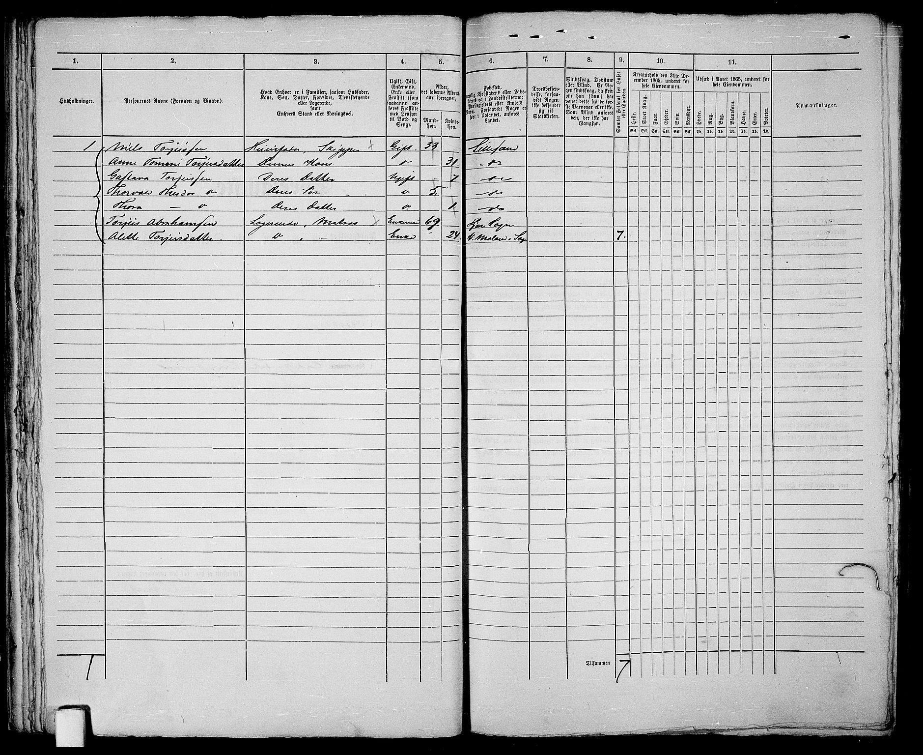 RA, Folketelling 1865 for 0905B Vestre Moland prestegjeld, Lillesand ladested, 1865, s. 49