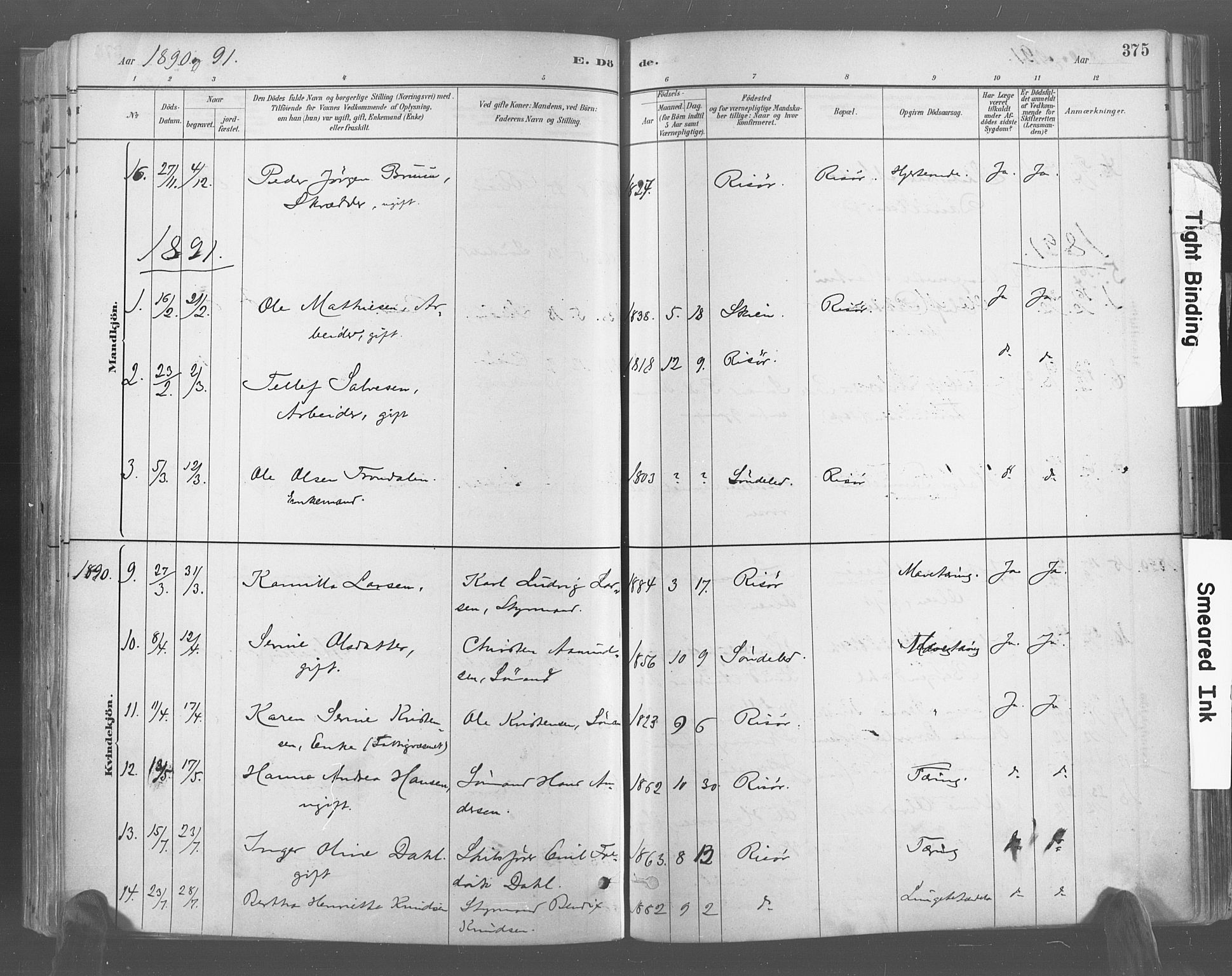 Risør sokneprestkontor, SAK/1111-0035/F/Fa/L0005: Ministerialbok nr. A 5, 1883-1895, s. 375