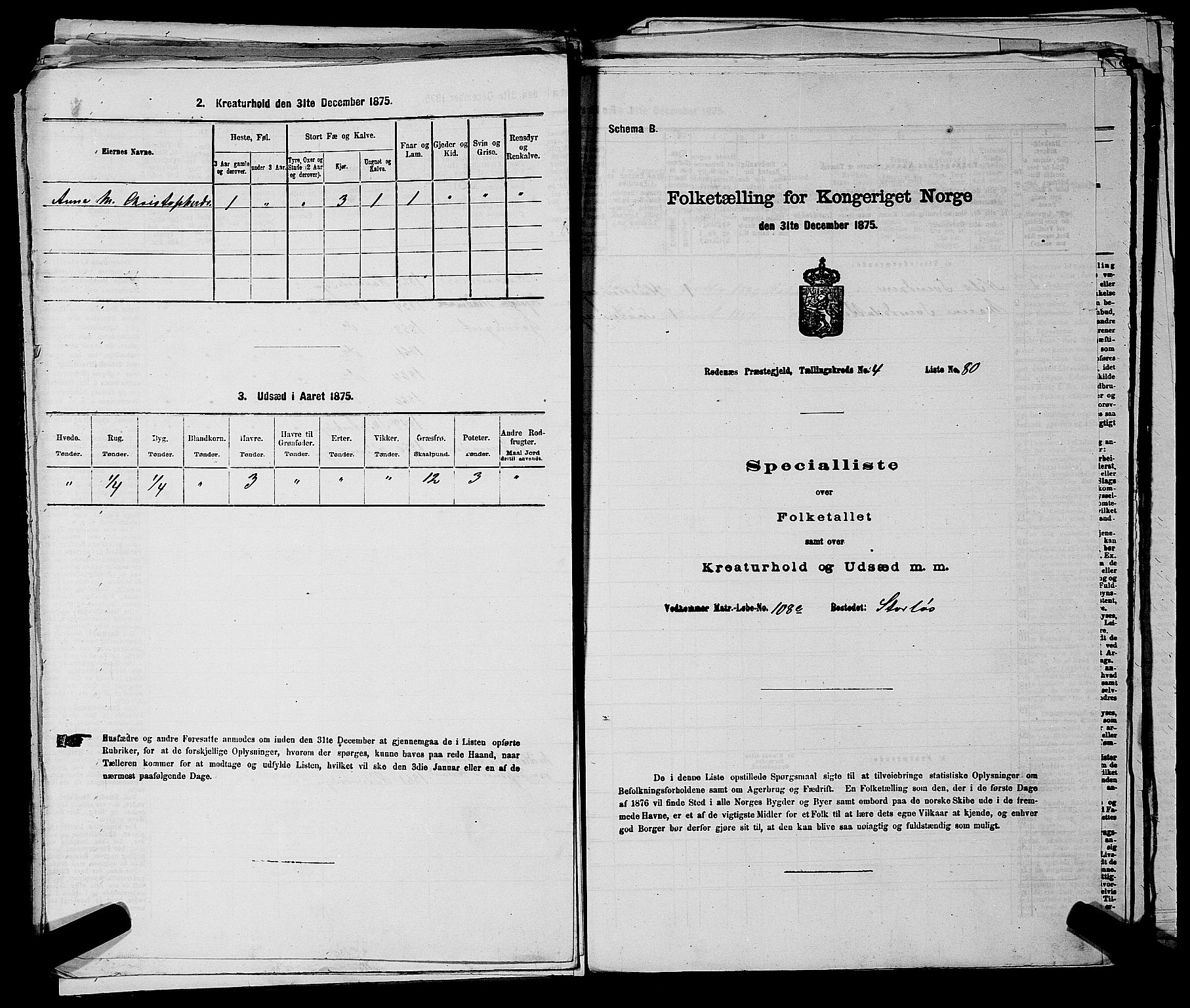 RA, Folketelling 1875 for 0120P Rødenes prestegjeld, 1875, s. 663