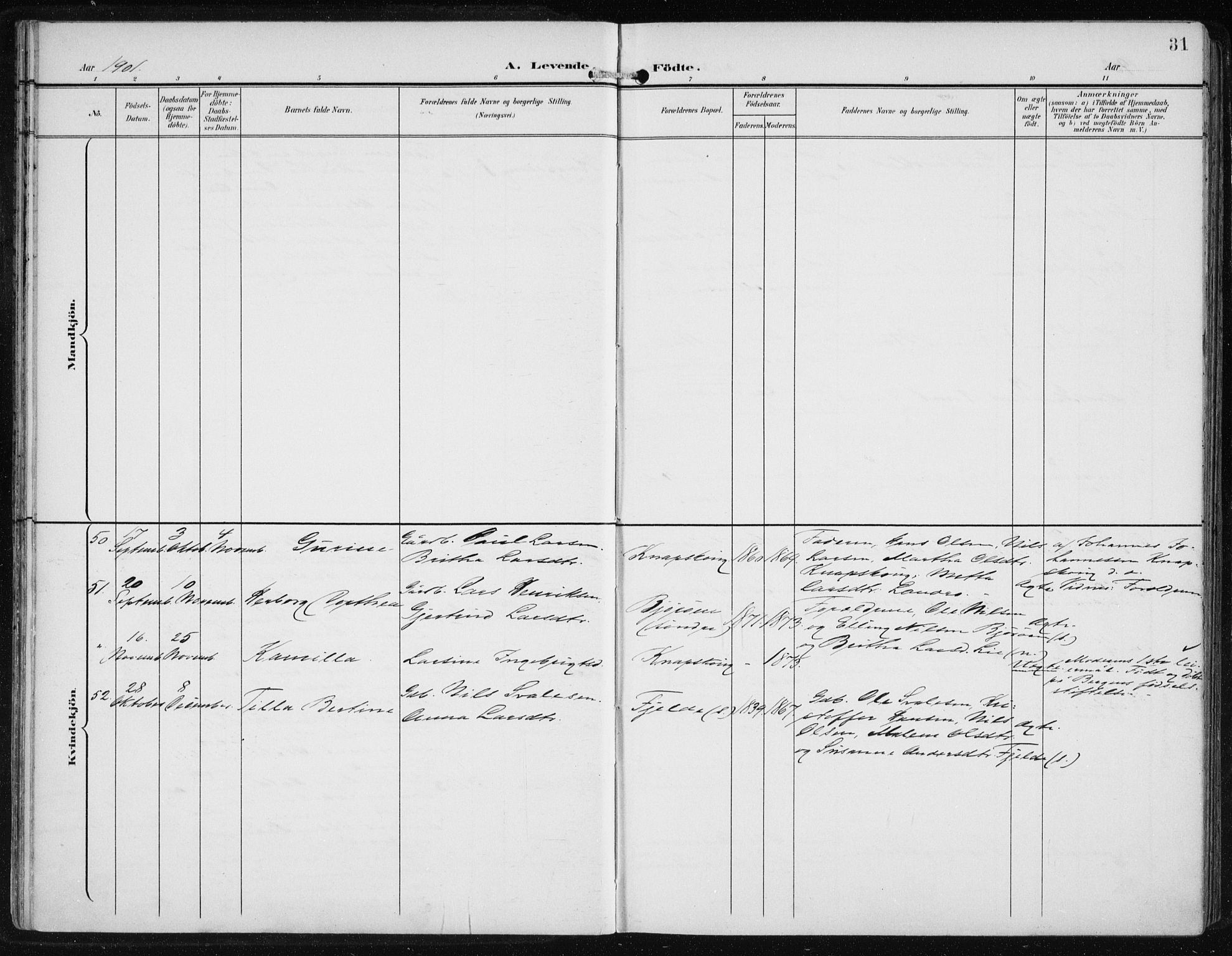 Fjell sokneprestembete, AV/SAB-A-75301/H/Haa: Ministerialbok nr. A  9, 1899-1910, s. 31
