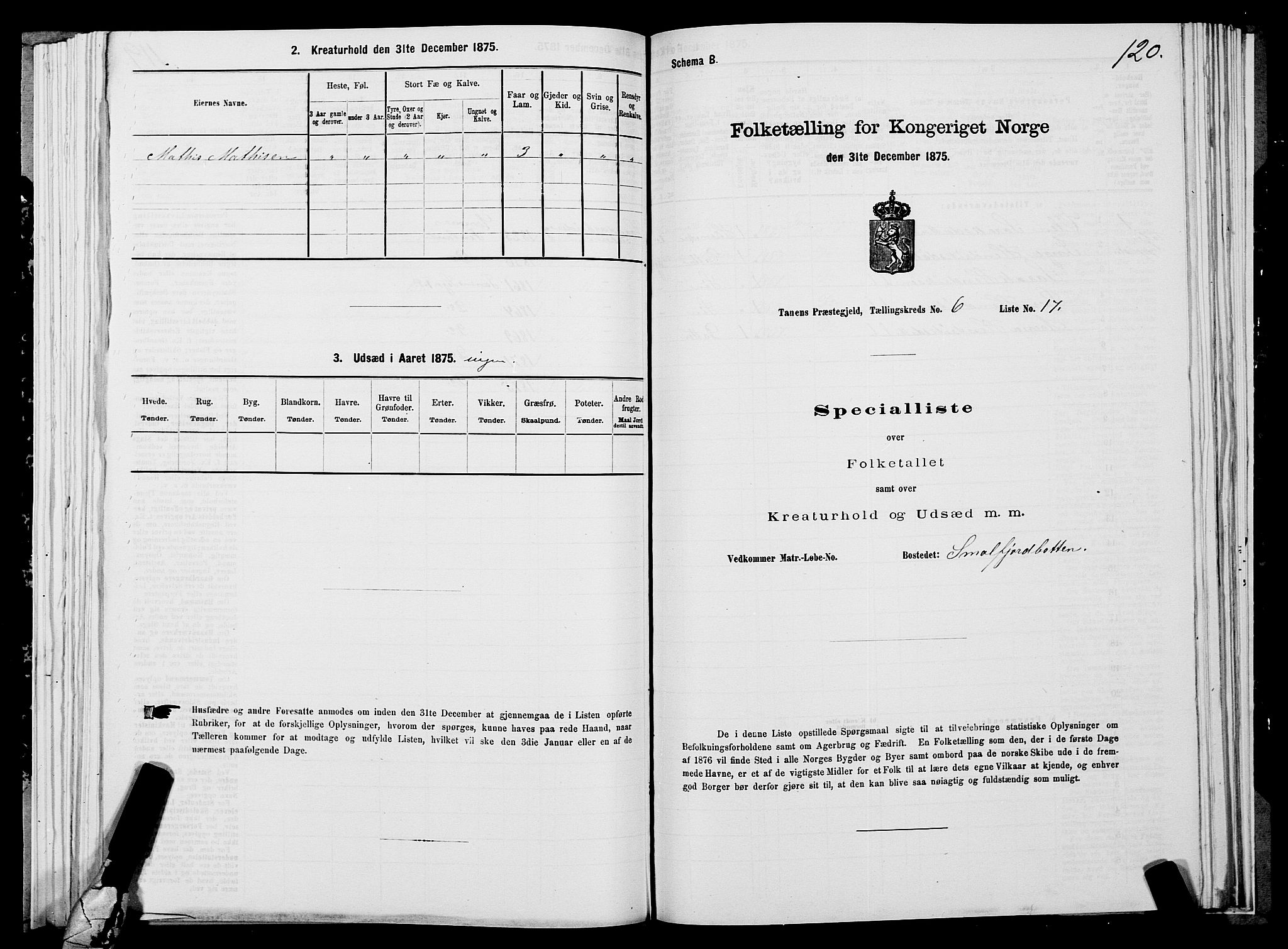 SATØ, Folketelling 1875 for 2025P Tana prestegjeld, 1875, s. 2120