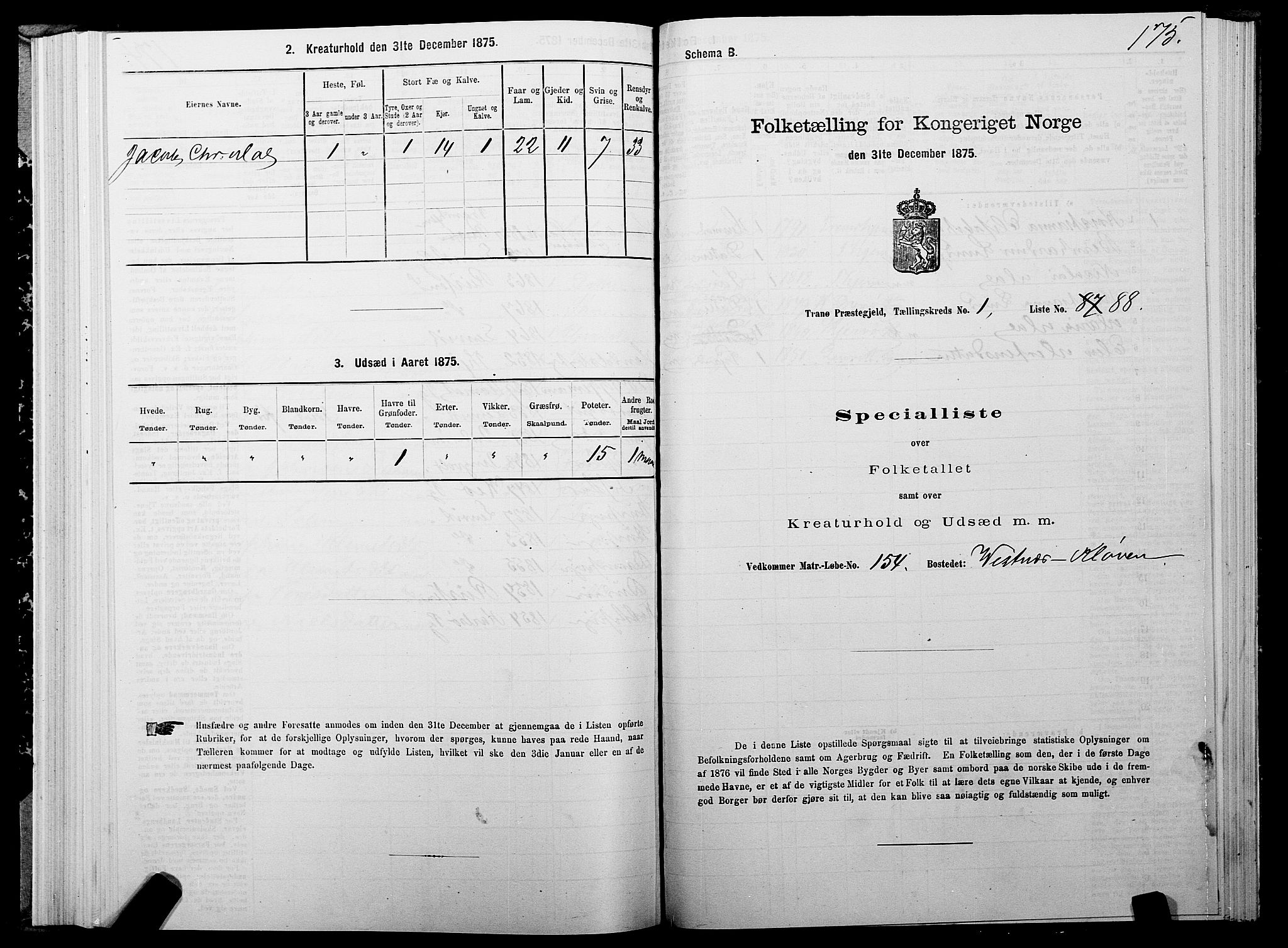 SATØ, Folketelling 1875 for 1927P Tranøy prestegjeld, 1875, s. 1175