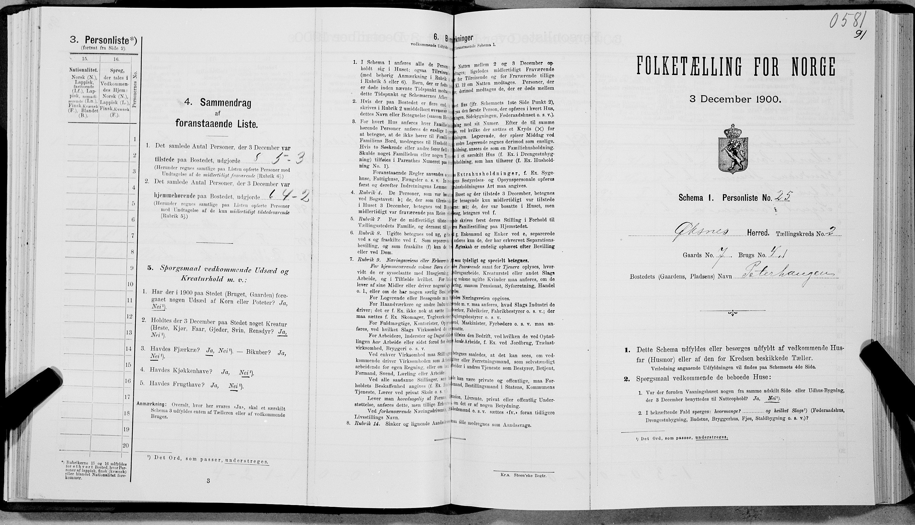 SAT, Folketelling 1900 for 1868 Øksnes herred, 1900, s. 113