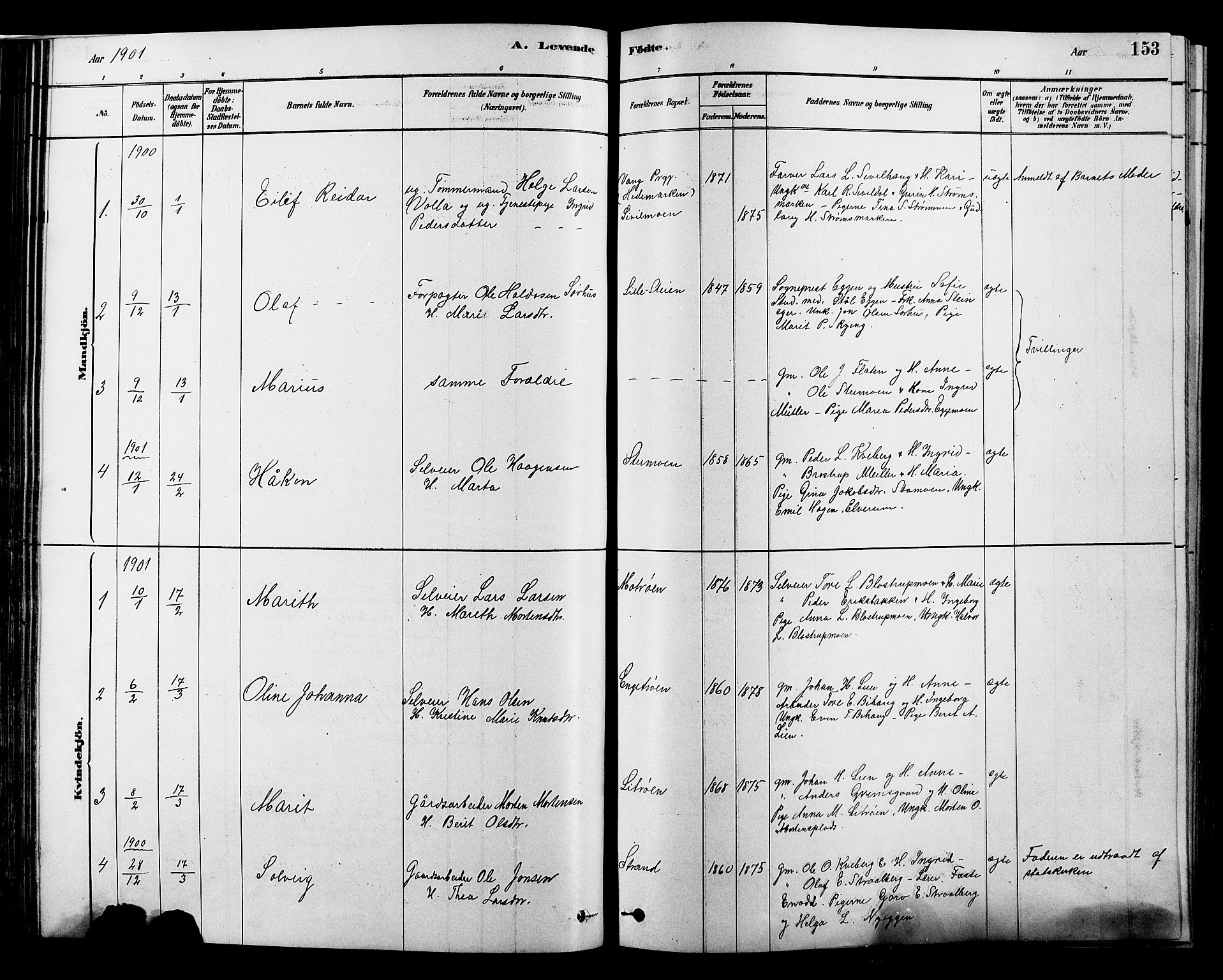 Alvdal prestekontor, AV/SAH-PREST-060/H/Ha/Hab/L0003: Klokkerbok nr. 3, 1878-1907, s. 153