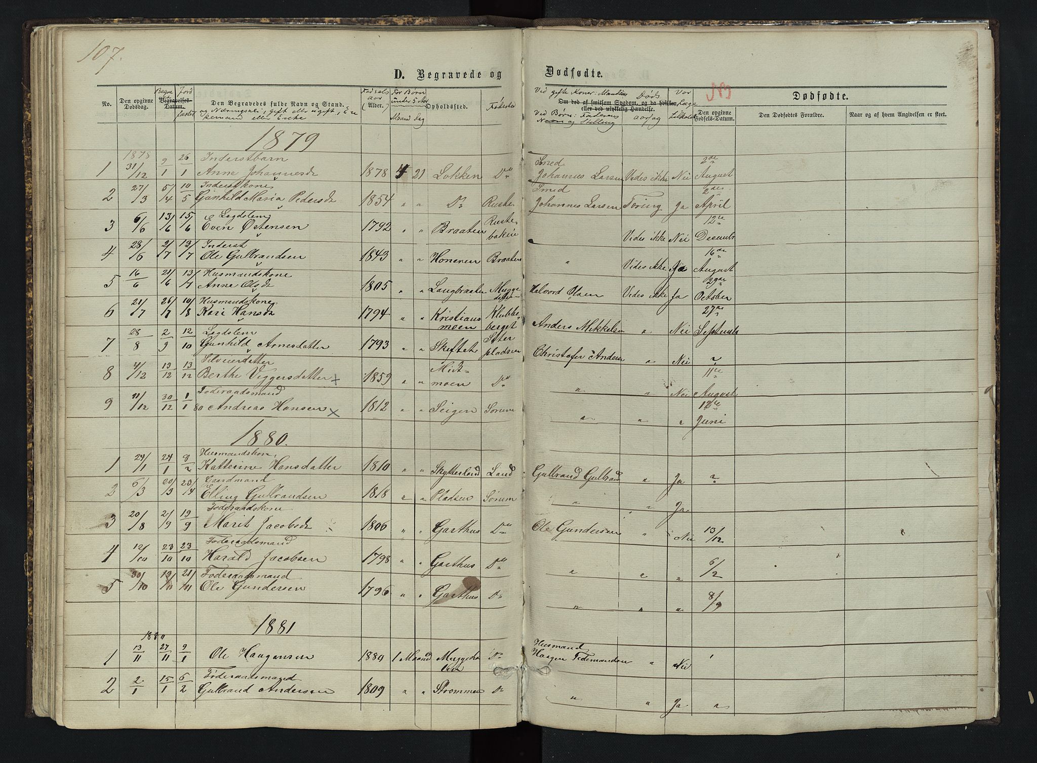 Sør-Aurdal prestekontor, SAH/PREST-128/H/Ha/Hab/L0003: Klokkerbok nr. 3, 1862-1893, s. 107