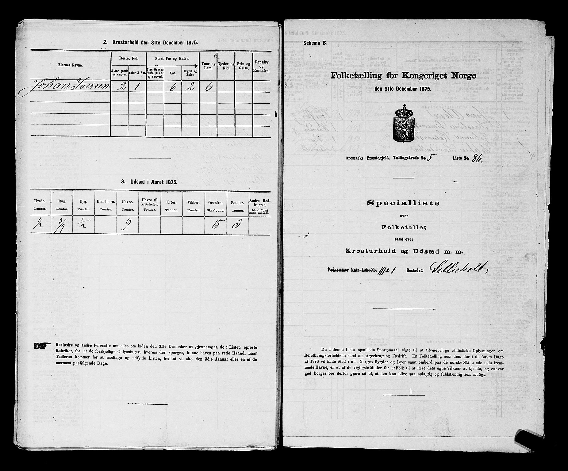 RA, Folketelling 1875 for 0118P Aremark prestegjeld, 1875, s. 817