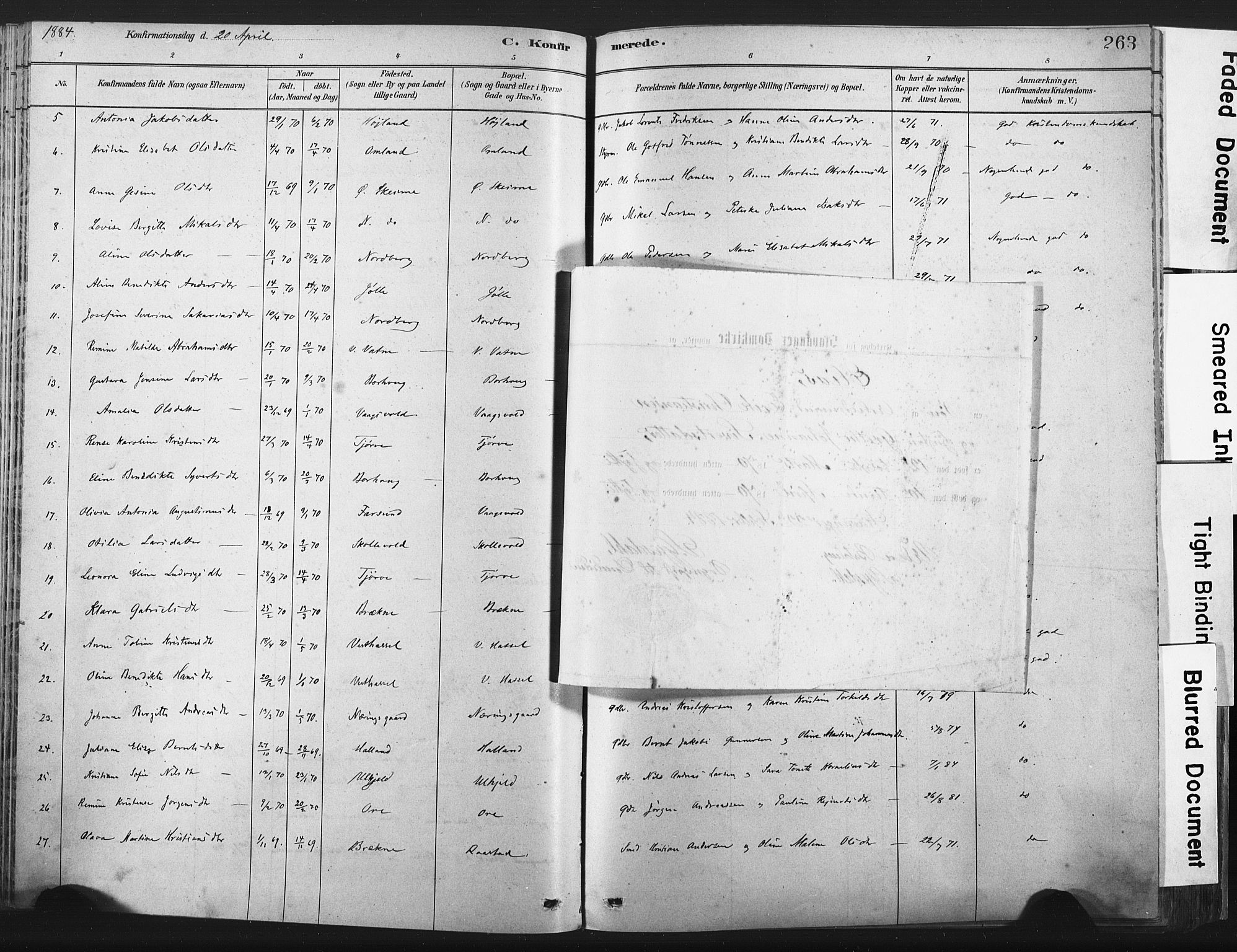 Lista sokneprestkontor, AV/SAK-1111-0027/F/Fa/L0012: Ministerialbok nr. A 12, 1879-1903, s. 263