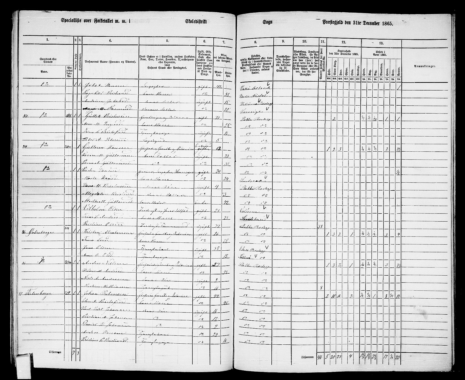 RA, Folketelling 1865 for 0720P Stokke prestegjeld, 1865, s. 146