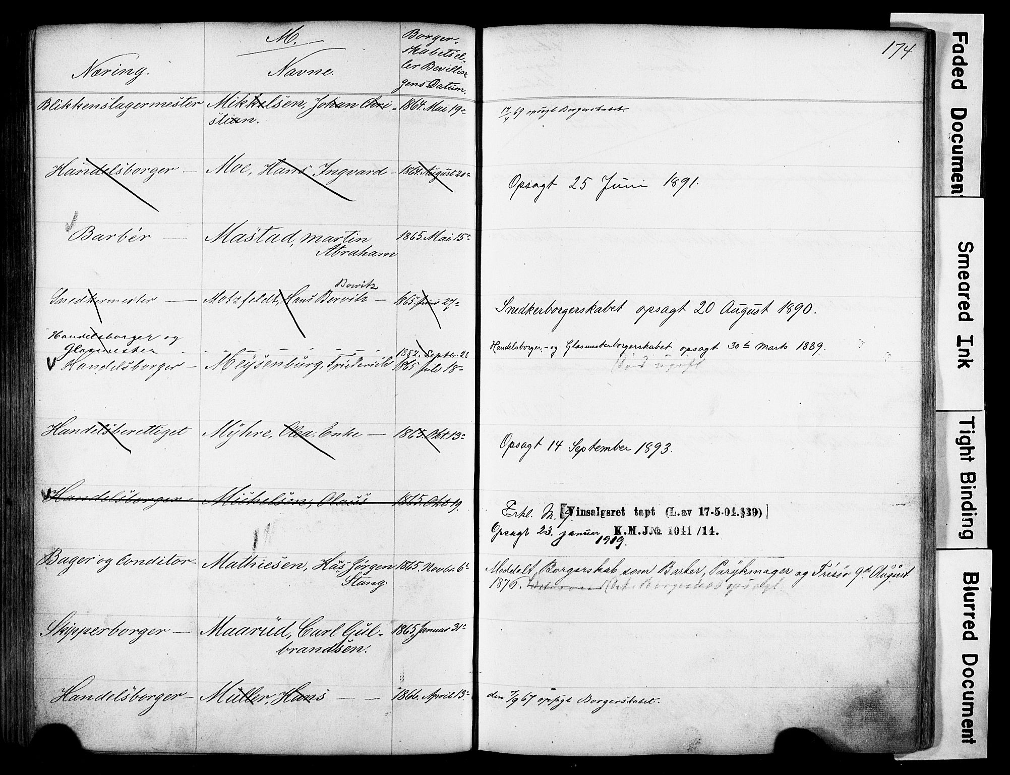 Kristiania magistrat, SAO/A-10711/F/Fb/L0004: Borgerrulle, 1860-1879, s. 176