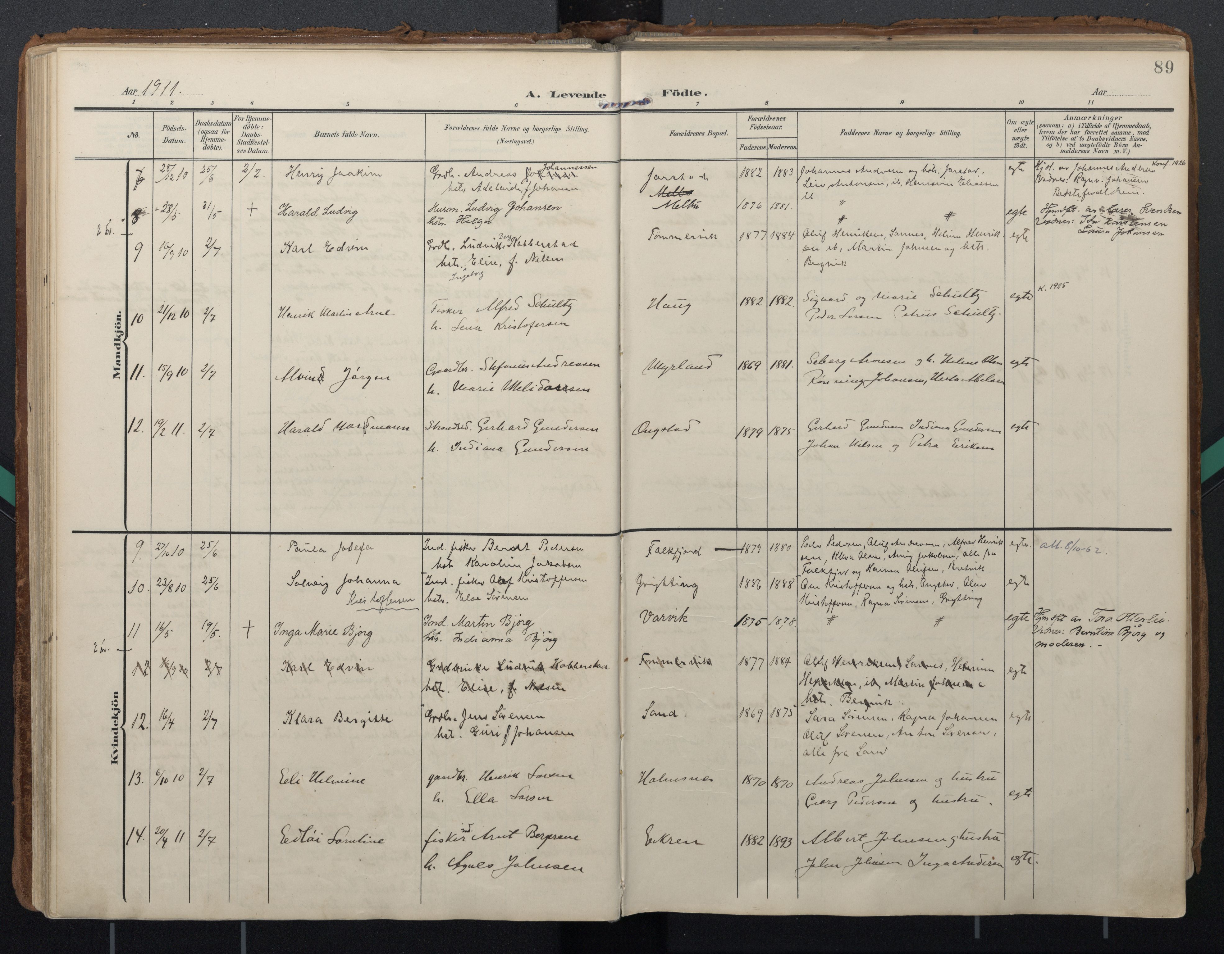 Ministerialprotokoller, klokkerbøker og fødselsregistre - Nordland, AV/SAT-A-1459/888/L1248: Ministerialbok nr. 888A14, 1904-1913, s. 89