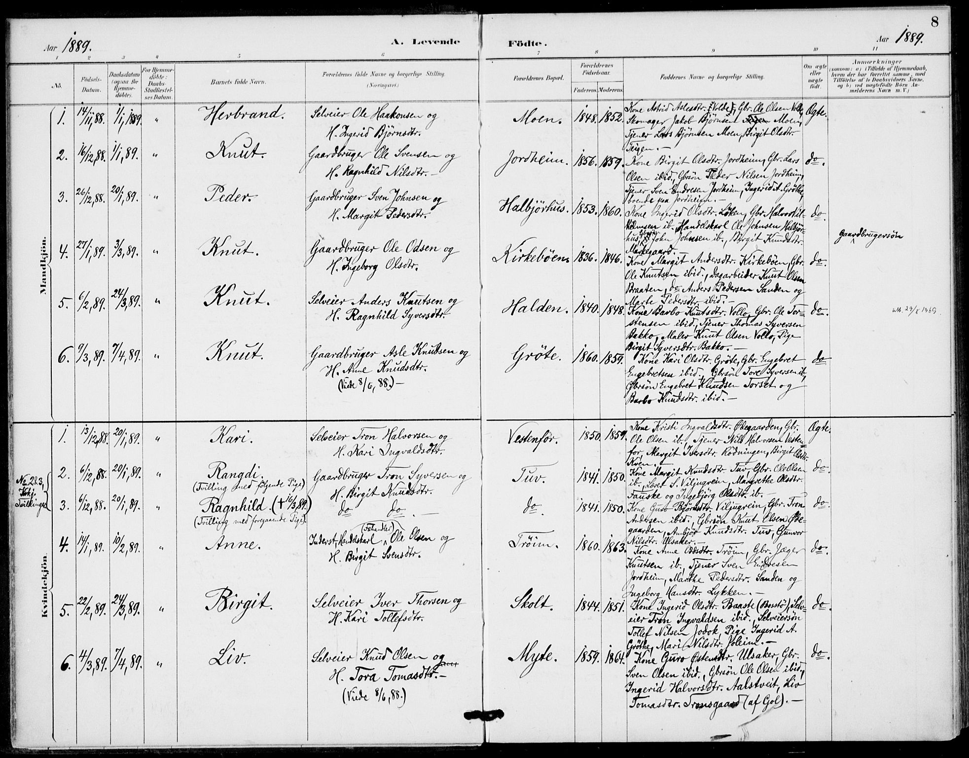 Gol kirkebøker, AV/SAKO-A-226/F/Fb/L0001: Ministerialbok nr. II 1, 1887-1900, s. 8