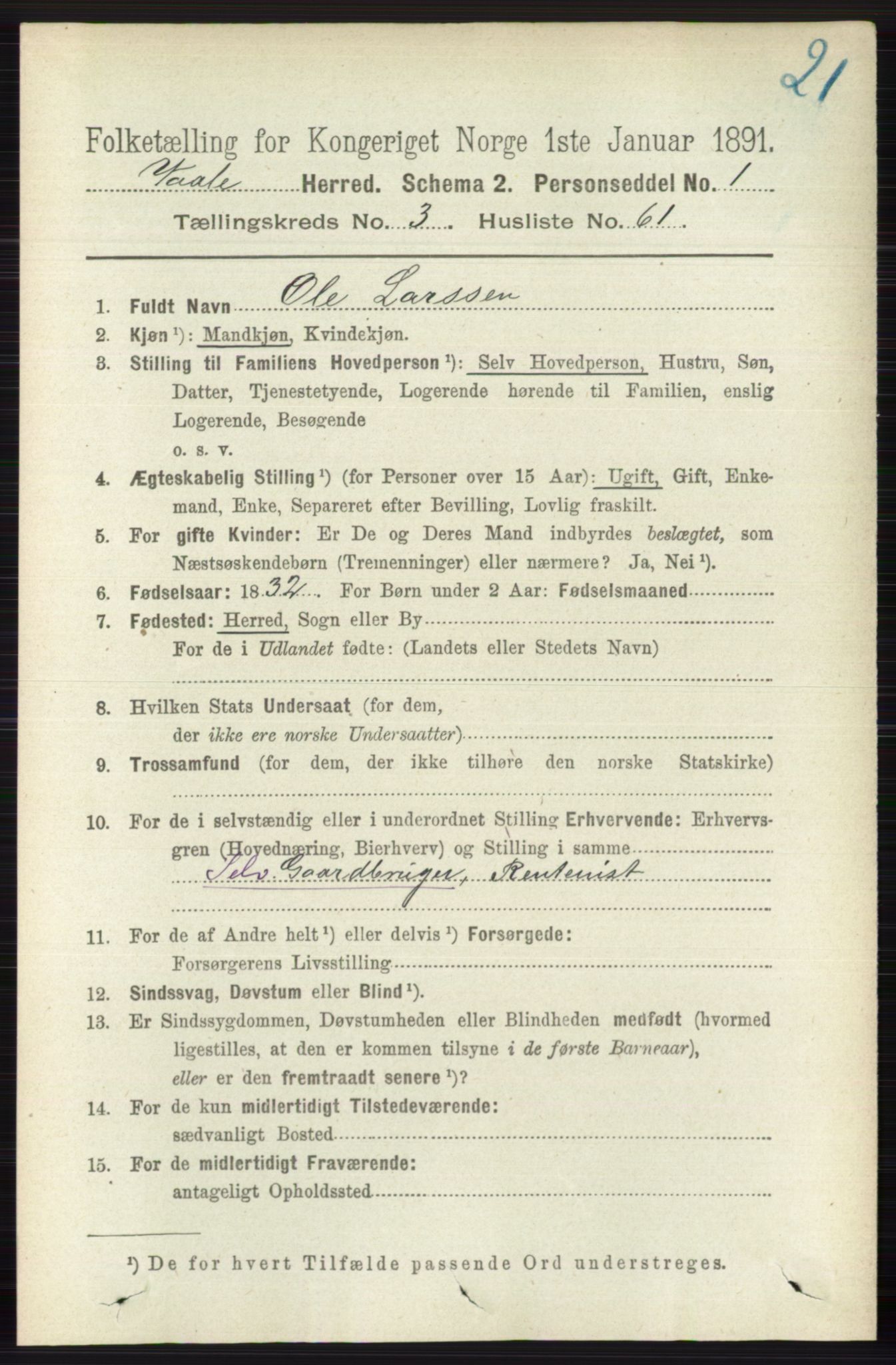 RA, Folketelling 1891 for 0716 Våle herred, 1891, s. 905