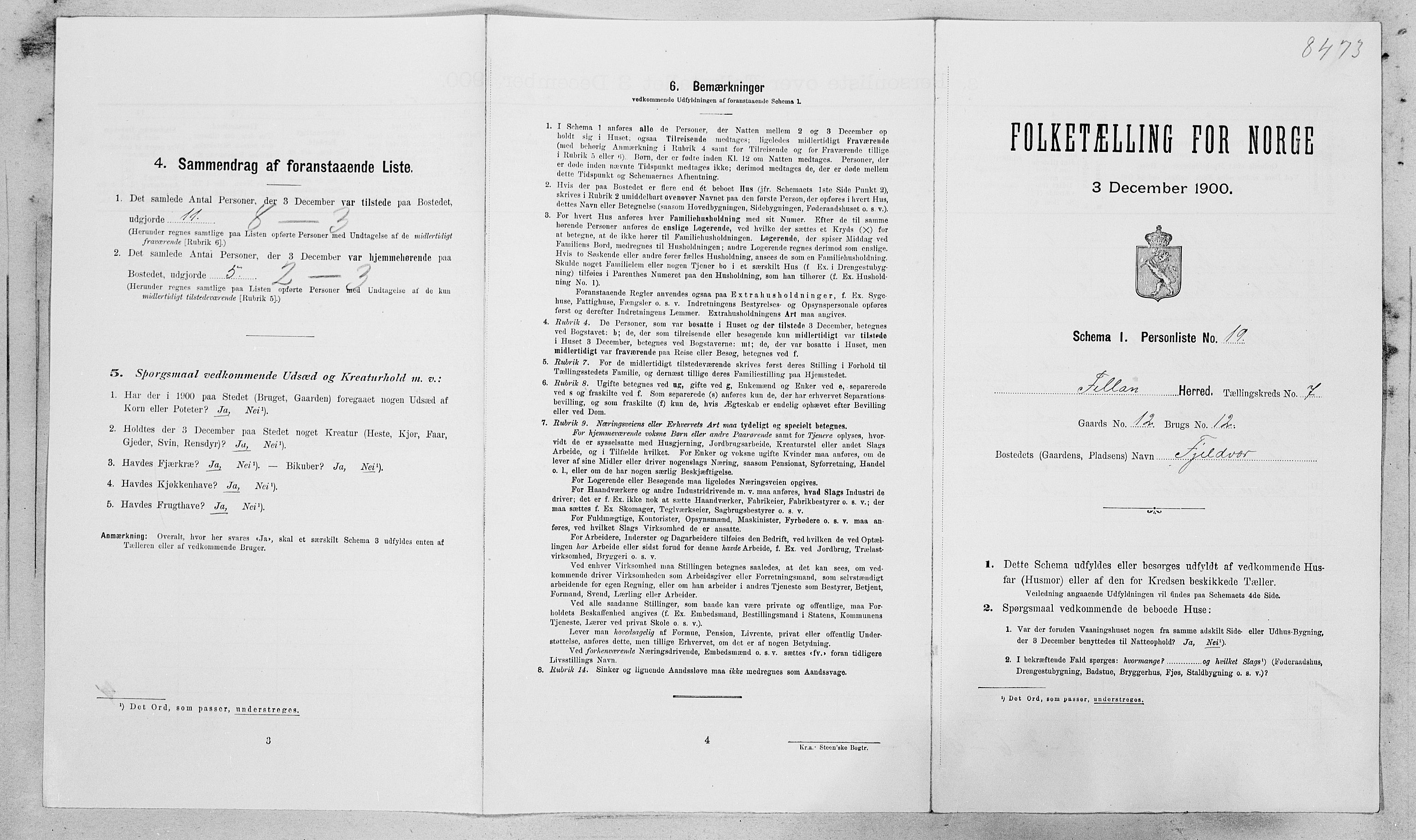 SAT, Folketelling 1900 for 1616 Fillan herred, 1900, s. 461