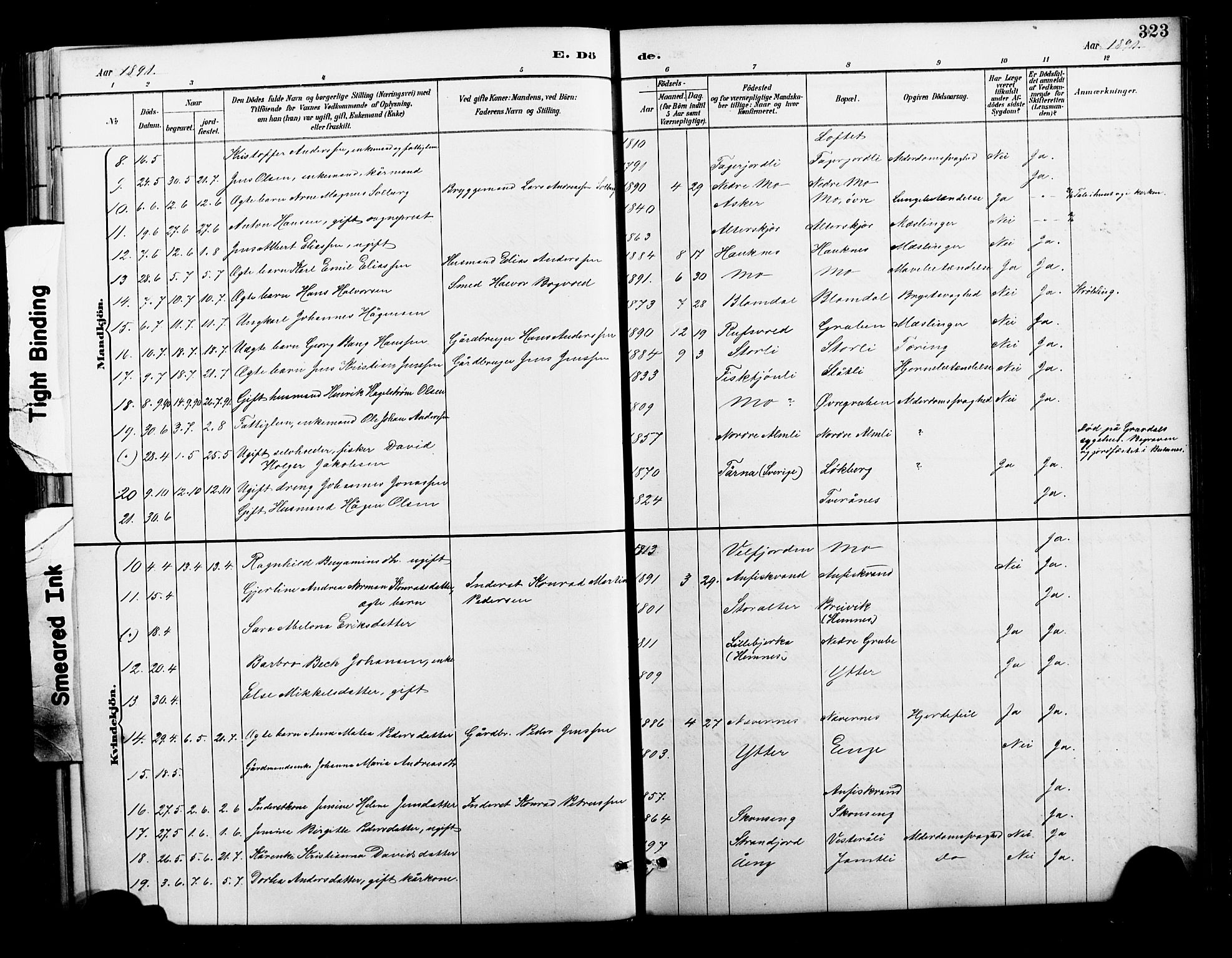 Ministerialprotokoller, klokkerbøker og fødselsregistre - Nordland, SAT/A-1459/827/L0421: Klokkerbok nr. 827C10, 1887-1906, s. 323