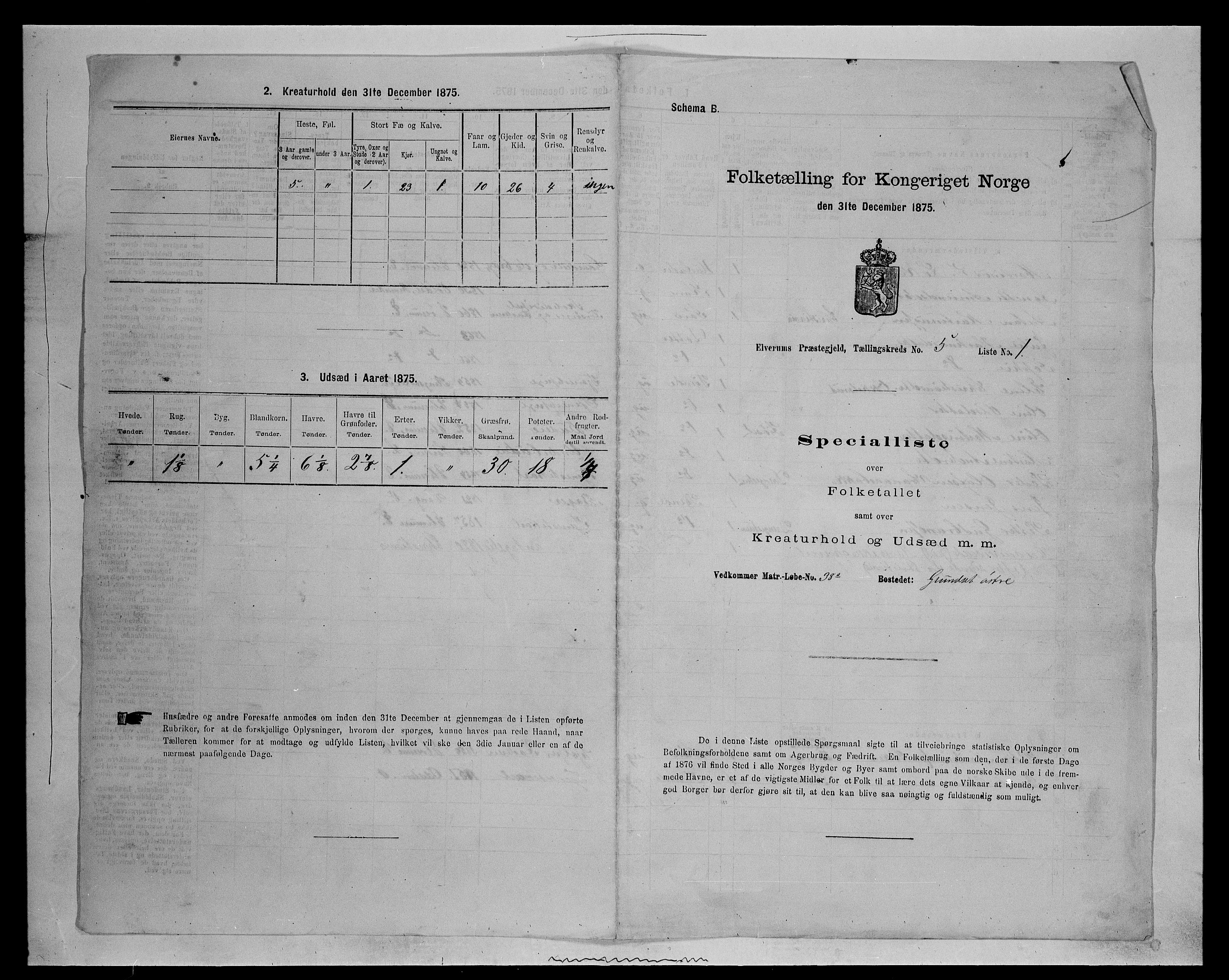 SAH, Folketelling 1875 for 0427P Elverum prestegjeld, 1875, s. 1226