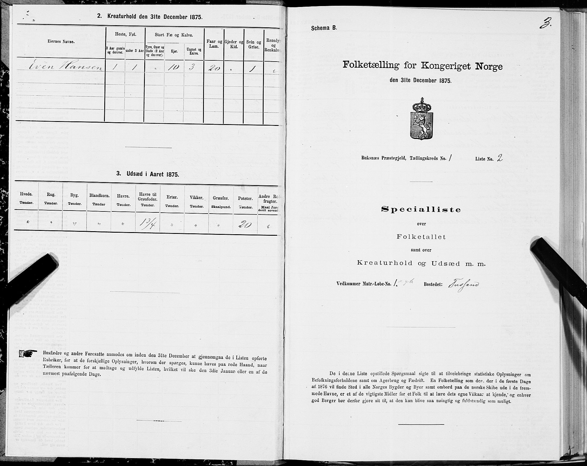 SAT, Folketelling 1875 for 1860P Buksnes prestegjeld, 1875, s. 1003