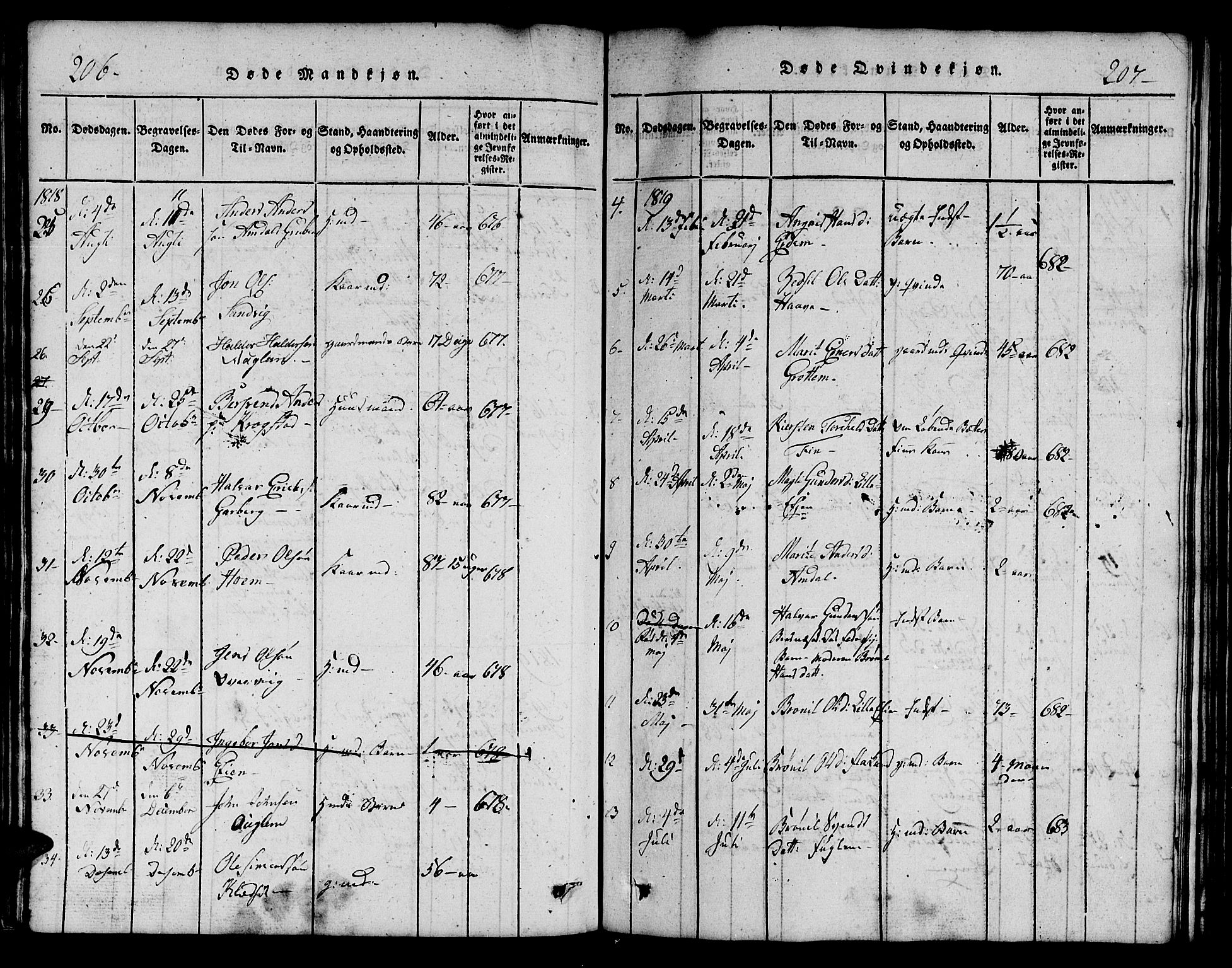 Ministerialprotokoller, klokkerbøker og fødselsregistre - Sør-Trøndelag, AV/SAT-A-1456/695/L1152: Klokkerbok nr. 695C03, 1816-1831, s. 206-207