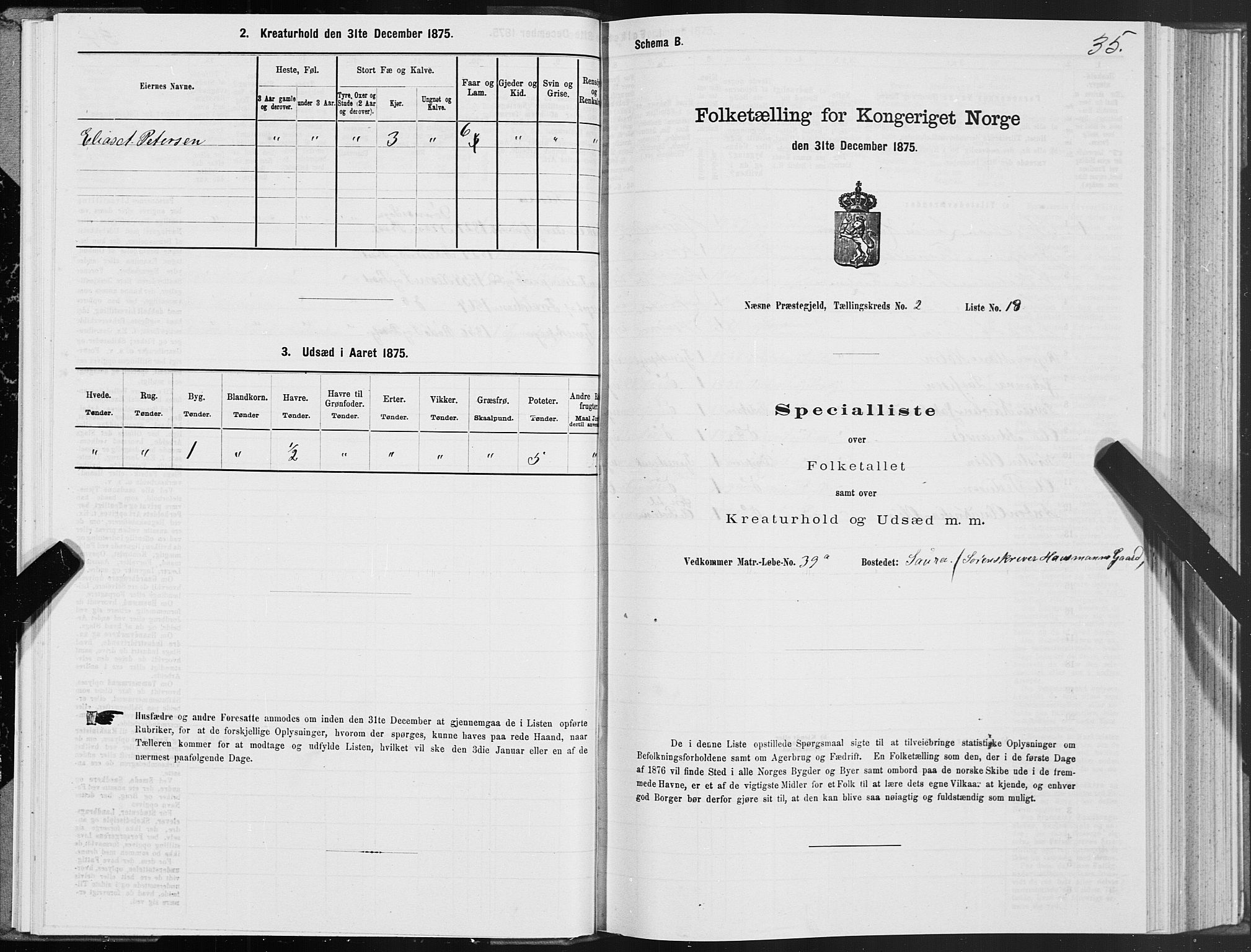 SAT, Folketelling 1875 for 1828P Nesna prestegjeld, 1875, s. 2035