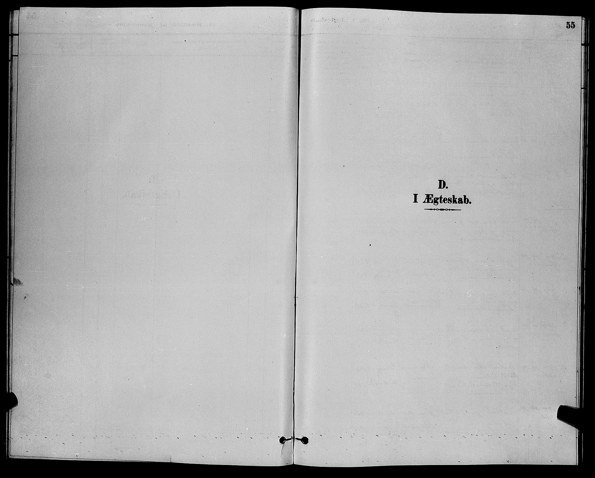 Herad sokneprestkontor, SAK/1111-0018/F/Fb/Fba/L0004: Klokkerbok nr. B 4, 1882-1899, s. 55
