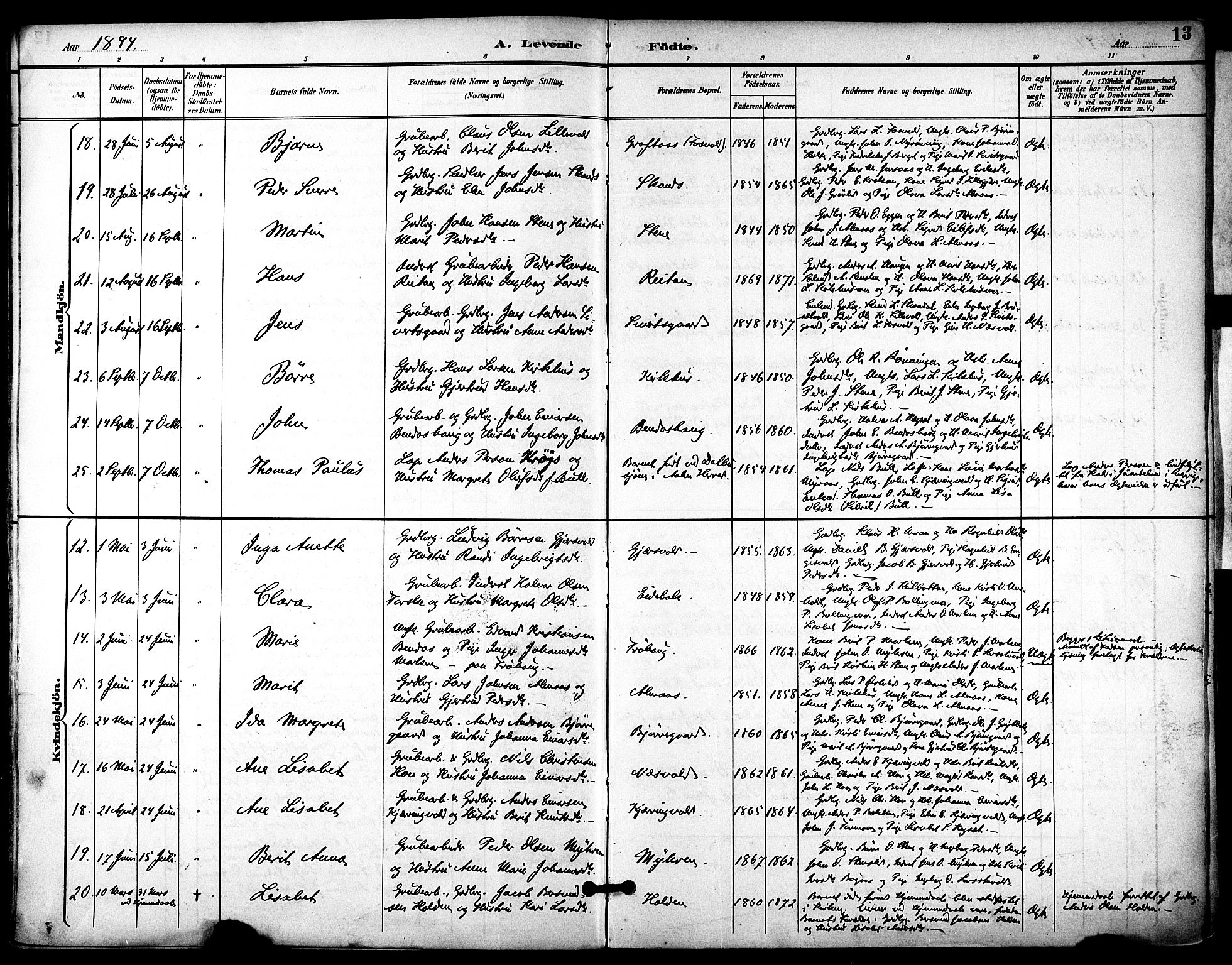 Ministerialprotokoller, klokkerbøker og fødselsregistre - Sør-Trøndelag, AV/SAT-A-1456/686/L0984: Ministerialbok nr. 686A02, 1891-1906, s. 13