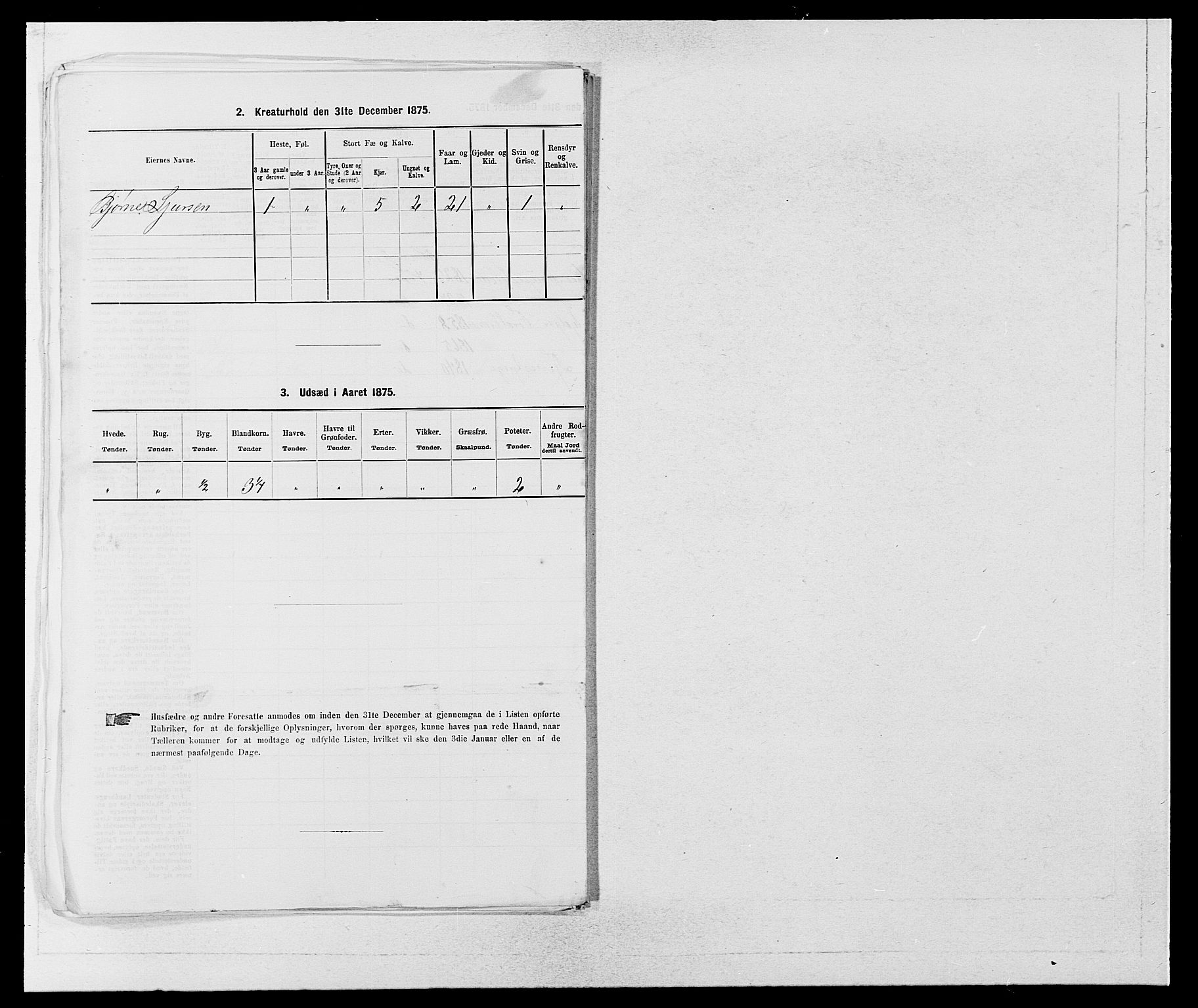 SAB, Folketelling 1875 for 1235P Voss prestegjeld, 1875, s. 1397