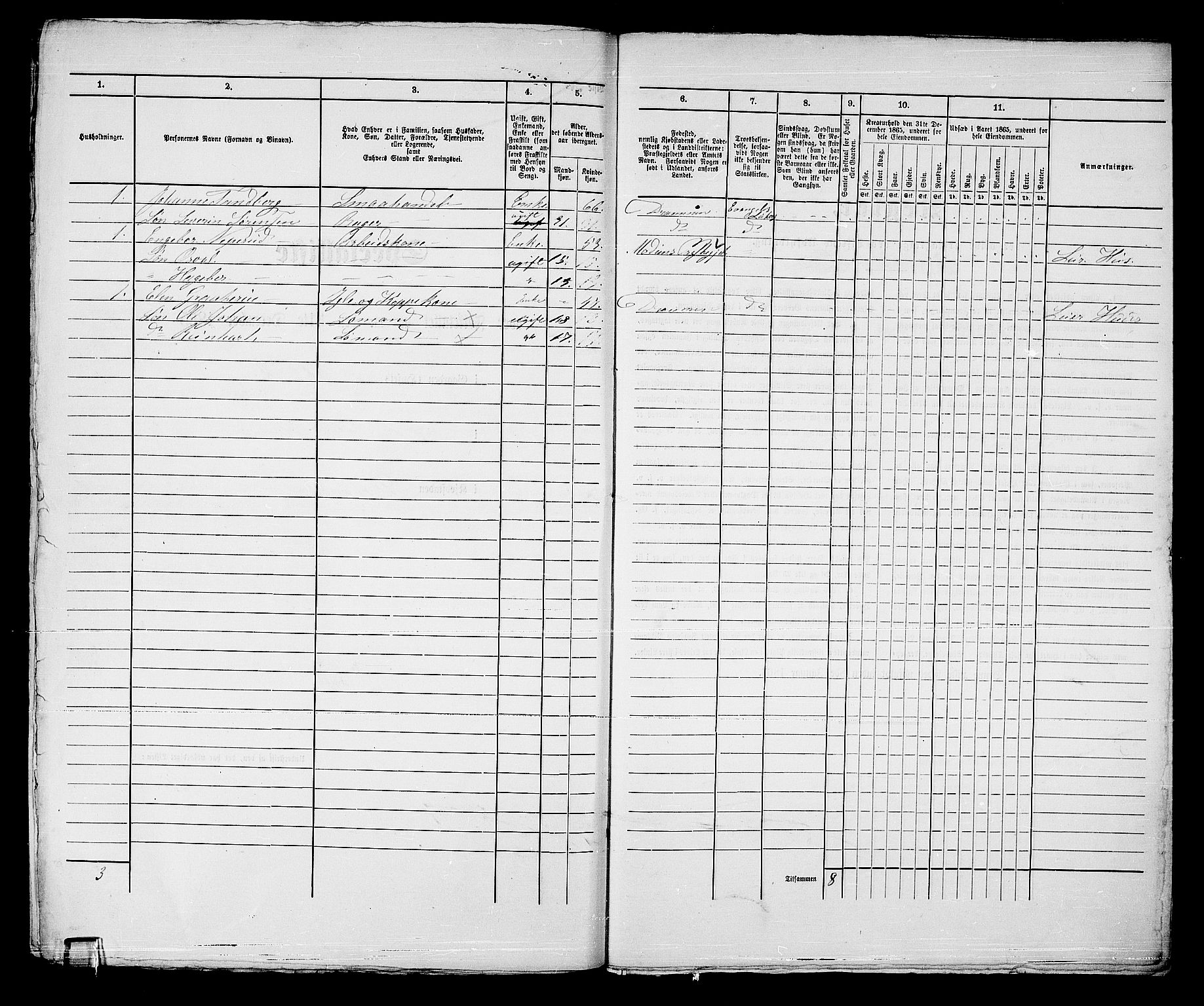 RA, Folketelling 1865 for 0602bP Strømsø prestegjeld i Drammen kjøpstad, 1865, s. 608