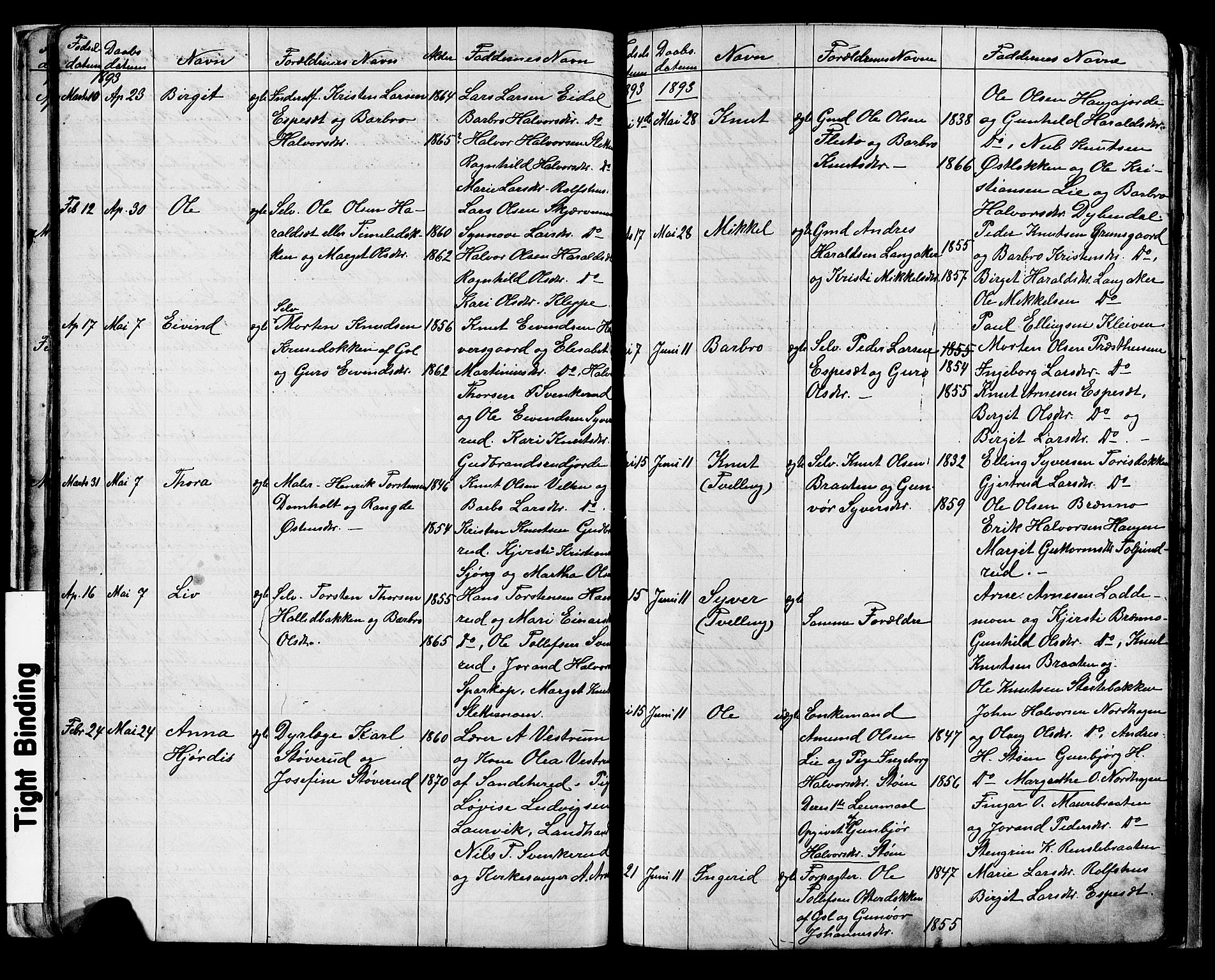 Nes kirkebøker, AV/SAKO-A-236/G/Ga/L0003: Klokkerbok nr. I 3, 1889-1909