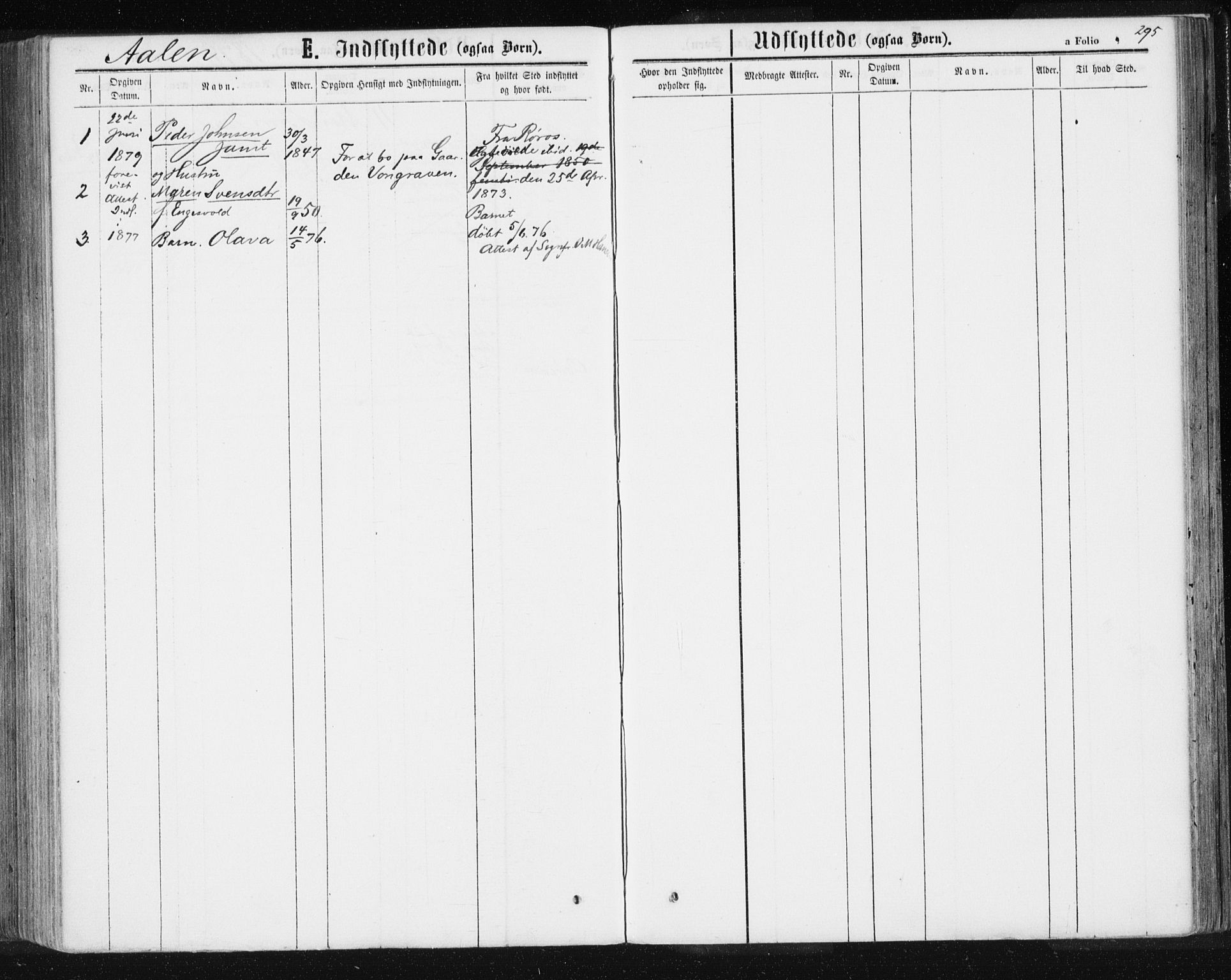 Ministerialprotokoller, klokkerbøker og fødselsregistre - Sør-Trøndelag, AV/SAT-A-1456/685/L0971: Ministerialbok nr. 685A08 /3, 1870-1879, s. 295