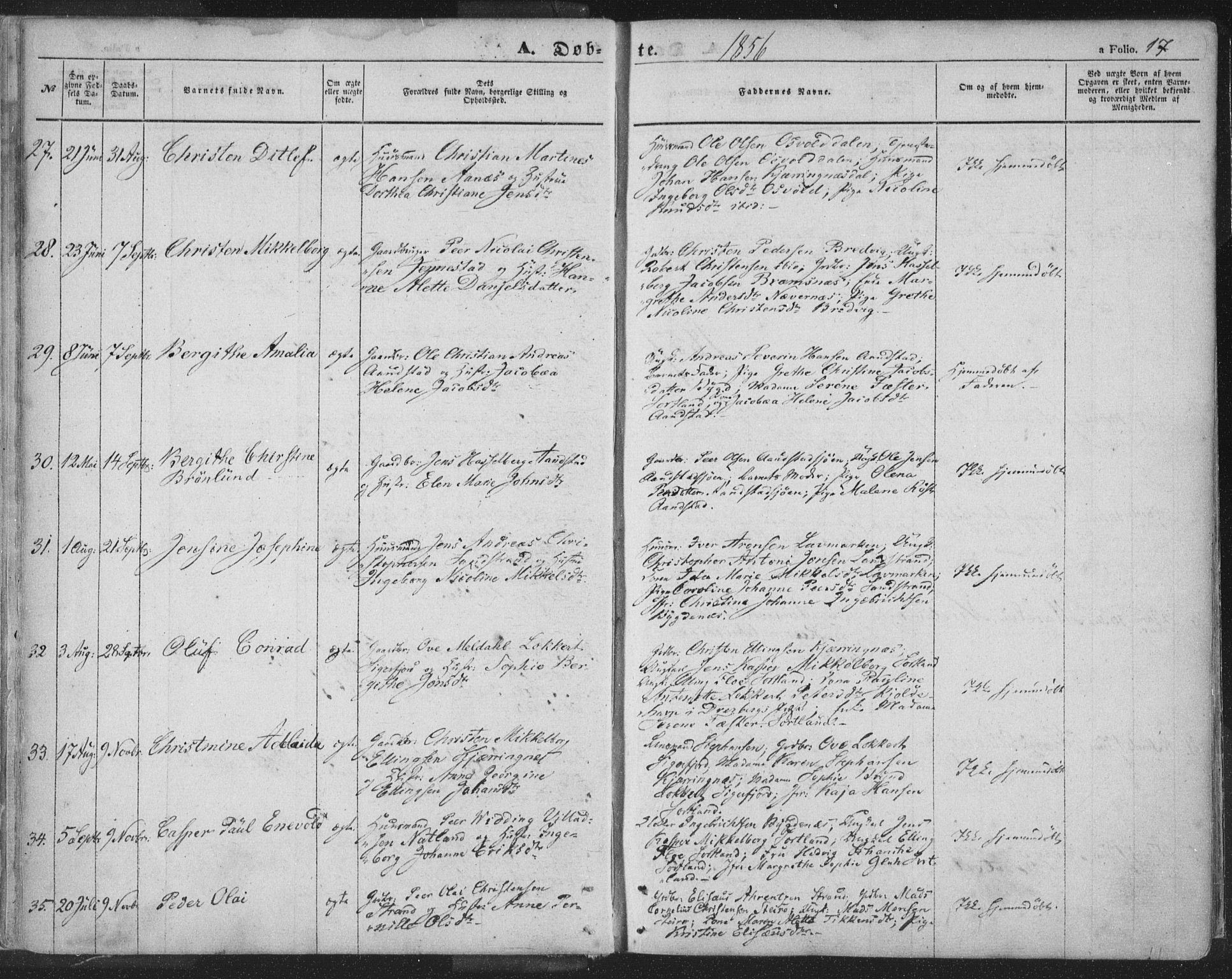 Ministerialprotokoller, klokkerbøker og fødselsregistre - Nordland, AV/SAT-A-1459/895/L1369: Ministerialbok nr. 895A04, 1852-1872, s. 17