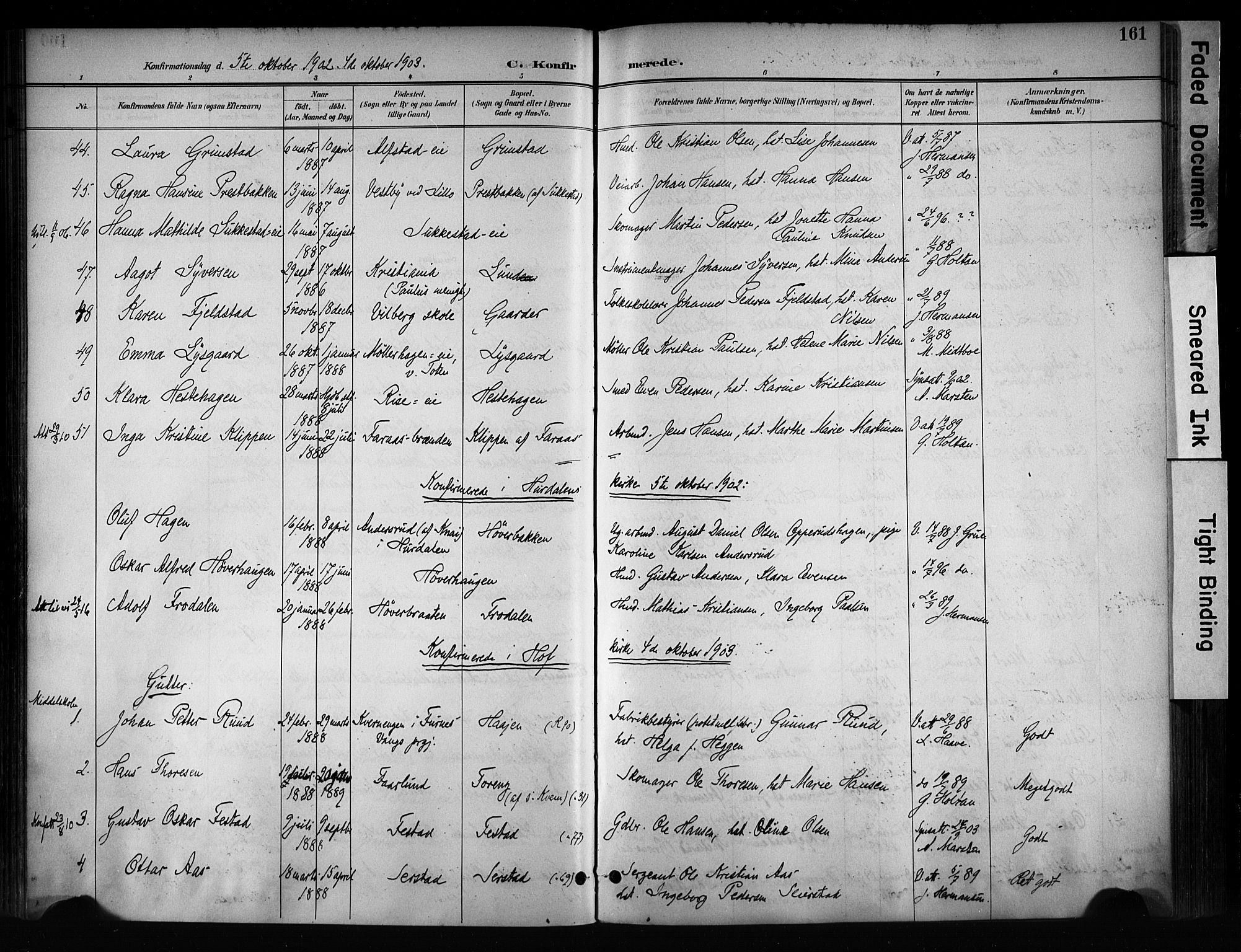 Østre Toten prestekontor, AV/SAH-PREST-104/H/Ha/Haa/L0008: Ministerialbok nr. 8, 1897-1909, s. 161