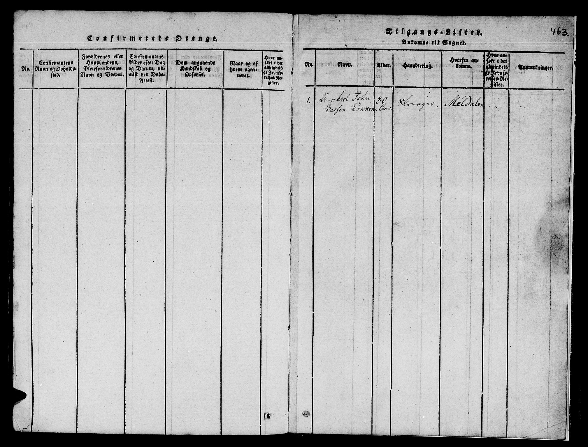 Ministerialprotokoller, klokkerbøker og fødselsregistre - Sør-Trøndelag, SAT/A-1456/671/L0842: Klokkerbok nr. 671C01, 1816-1867, s. 462-463