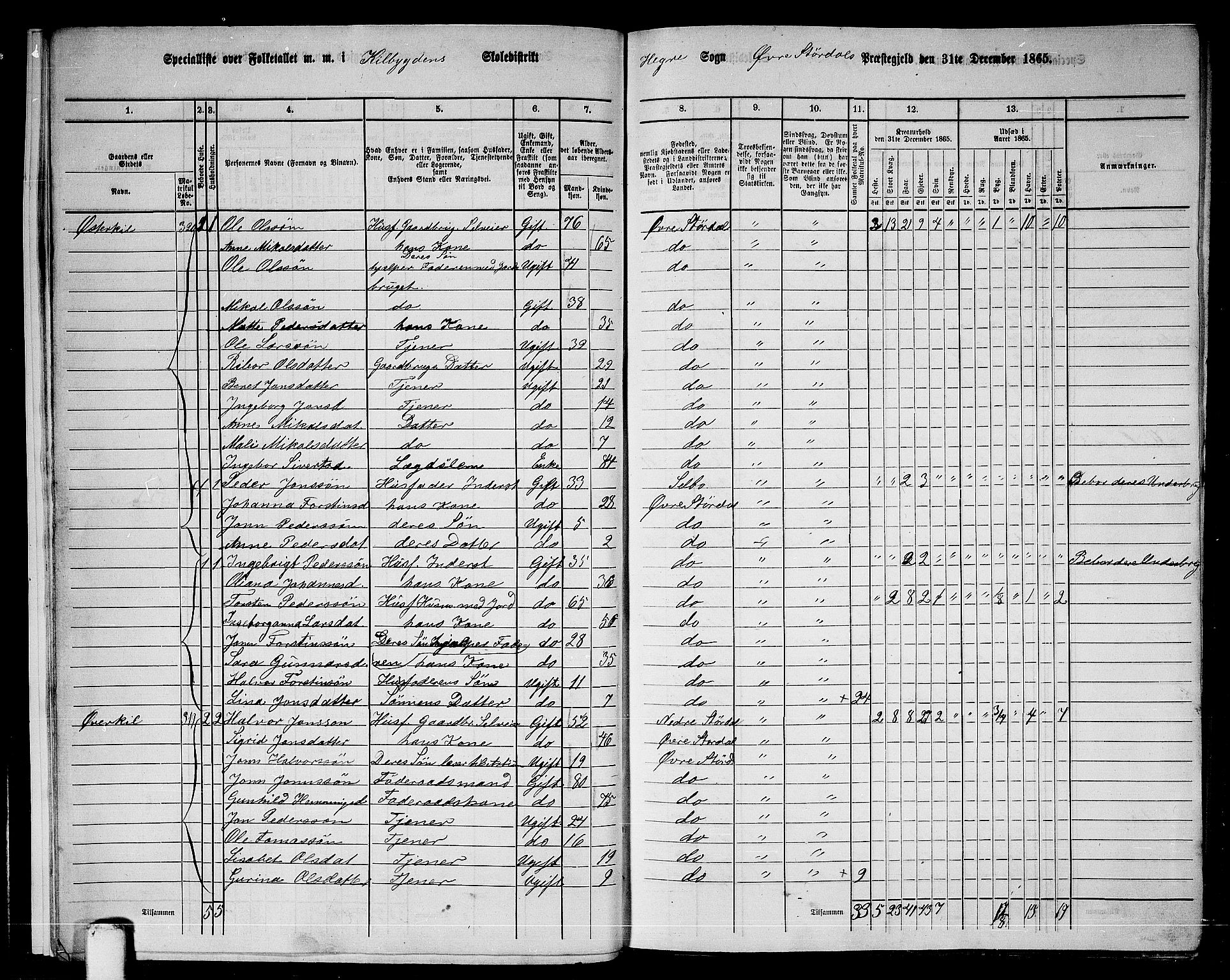 RA, Folketelling 1865 for 1711P Øvre Stjørdal prestegjeld, 1865, s. 12